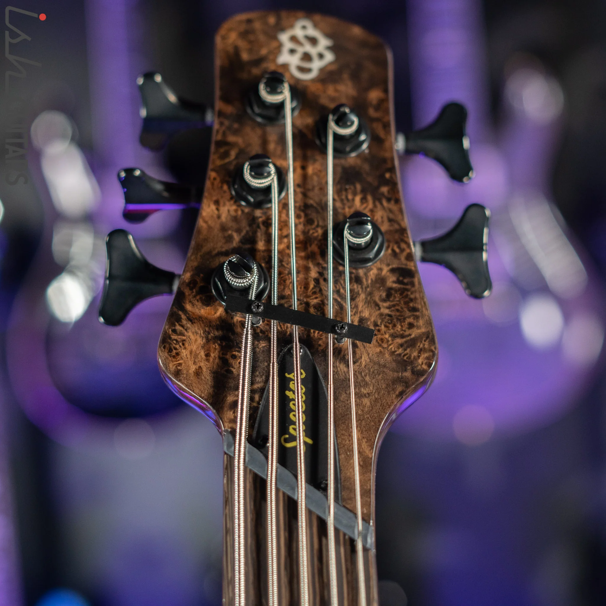 Spector NS Dimension 5 Multi-Scale Super Faded Black Gloss - Image 6