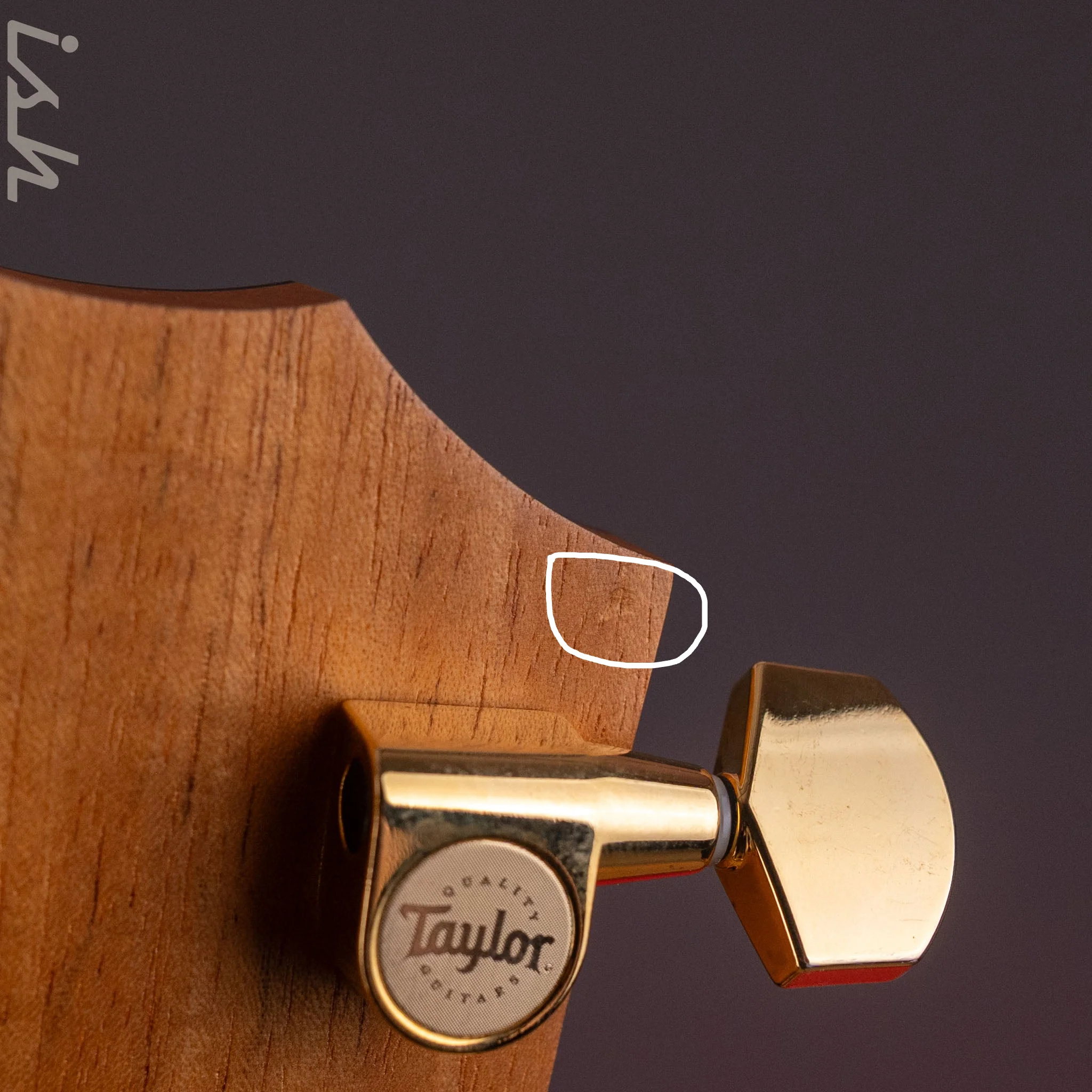 2022 Taylor 224ce-K DLX Koa - Image 14