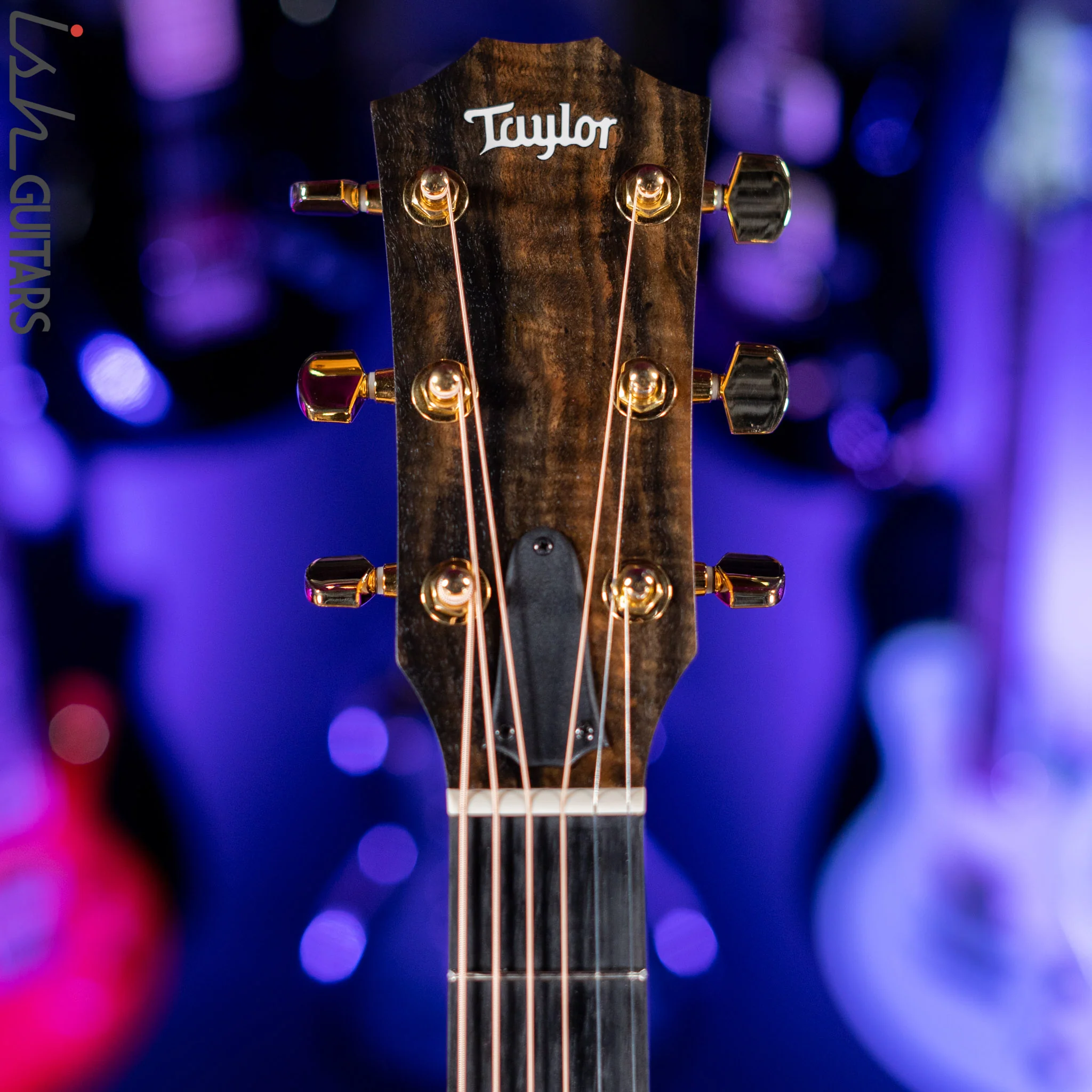 Taylor 224ce-K DXL Shaded Edge Burst - Image 5