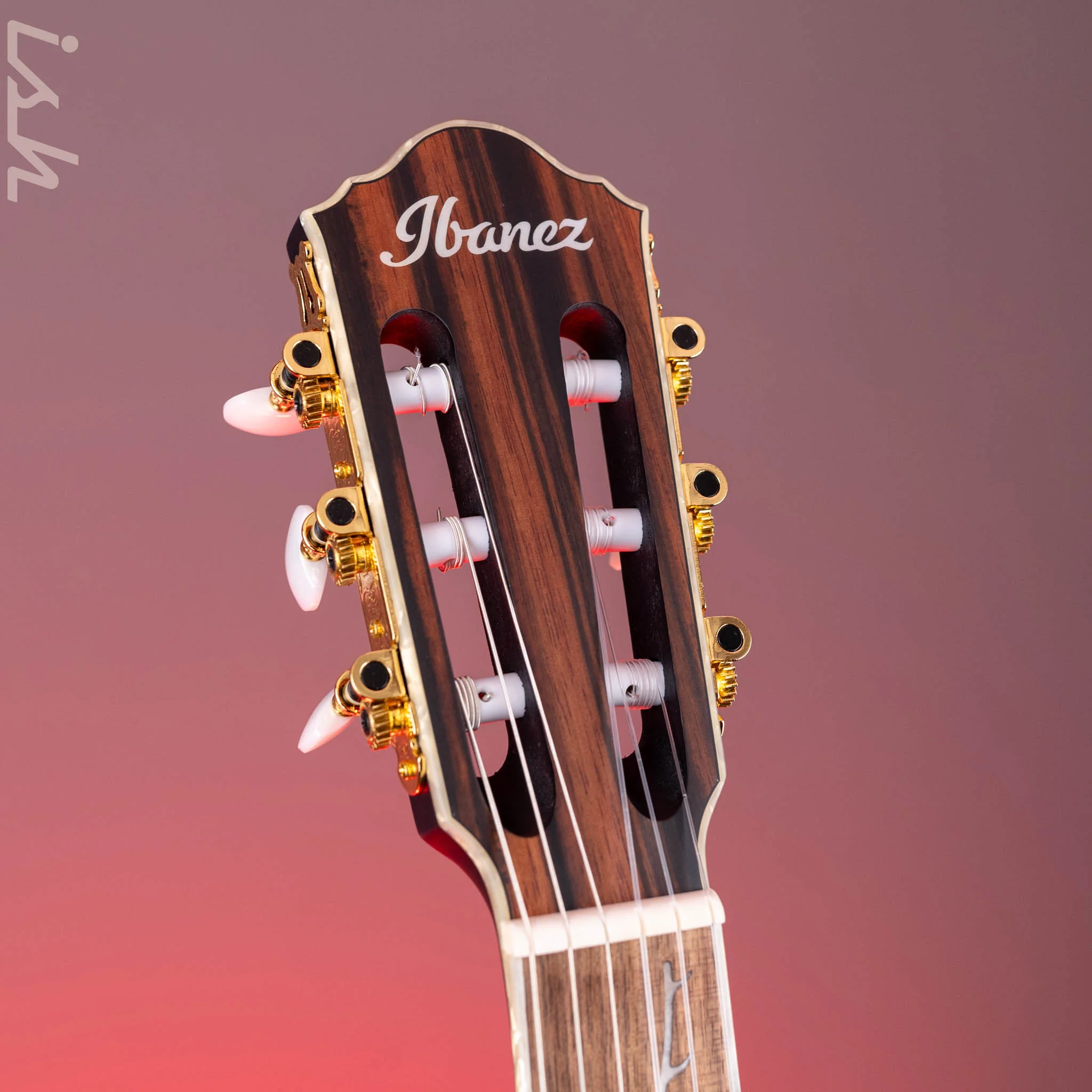 2024 Ibanez TOD10N Tim Henson Signature Nylon Acoustic-Electric Guitar Transparent Black Flat - Image 6