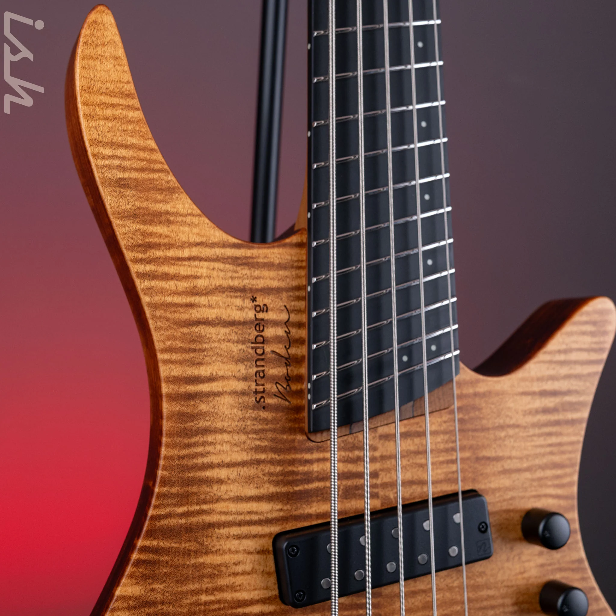2024 Strandberg Boden Prog 5-String Bass Natural - Image 3
