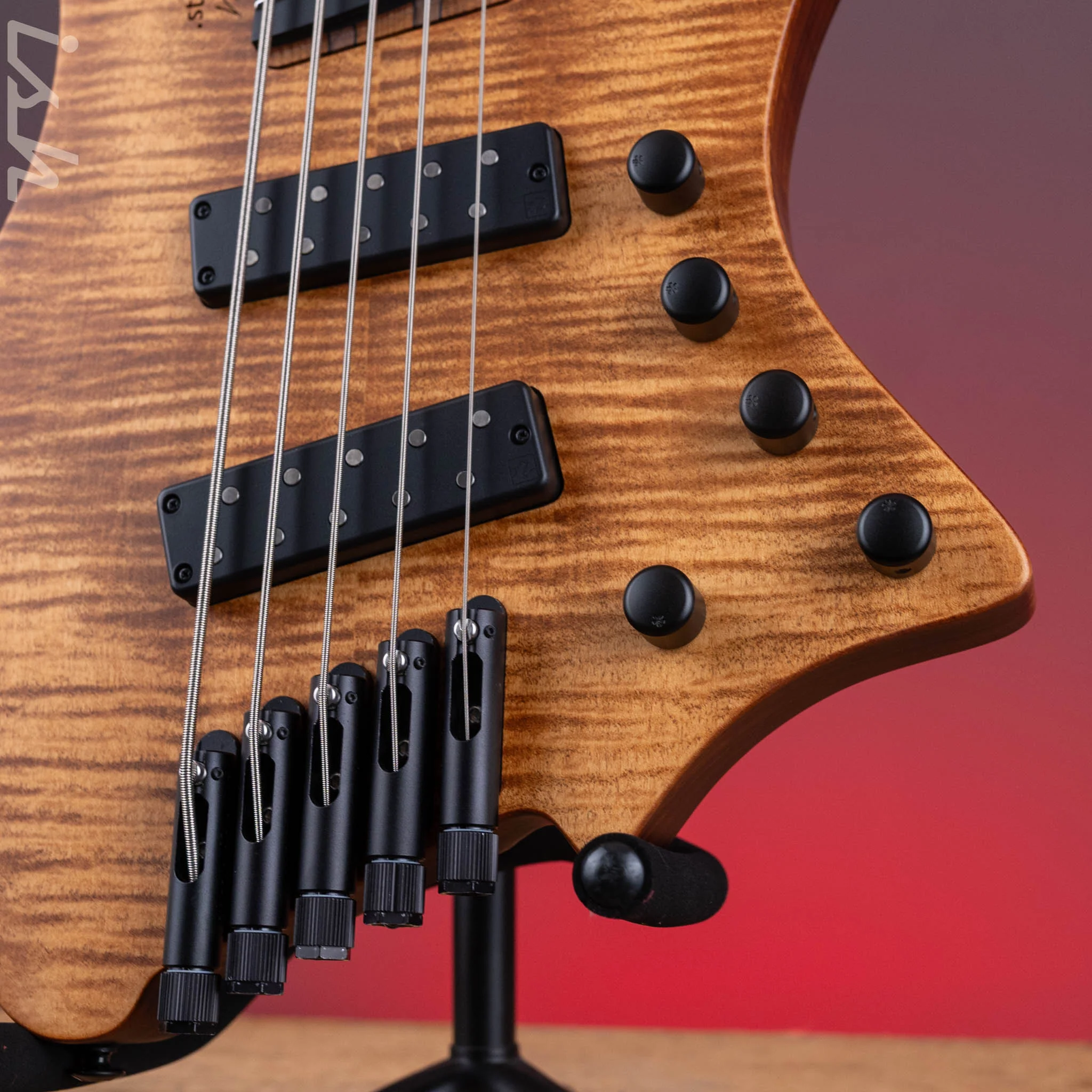 2024 Strandberg Boden Prog 5-String Bass Natural - Image 4