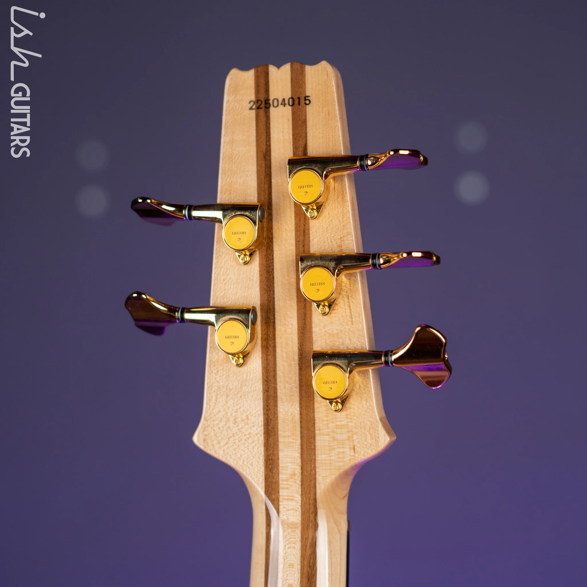 Aria Pro II SB-1000 5-String Bass Natural Oak - Image 10
