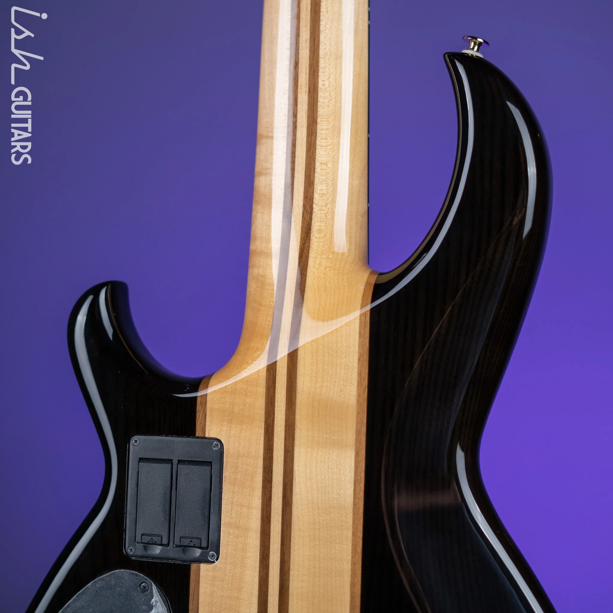 Aria Pro II SB-1000 5-String See Through Bass Black Demo - Image 8