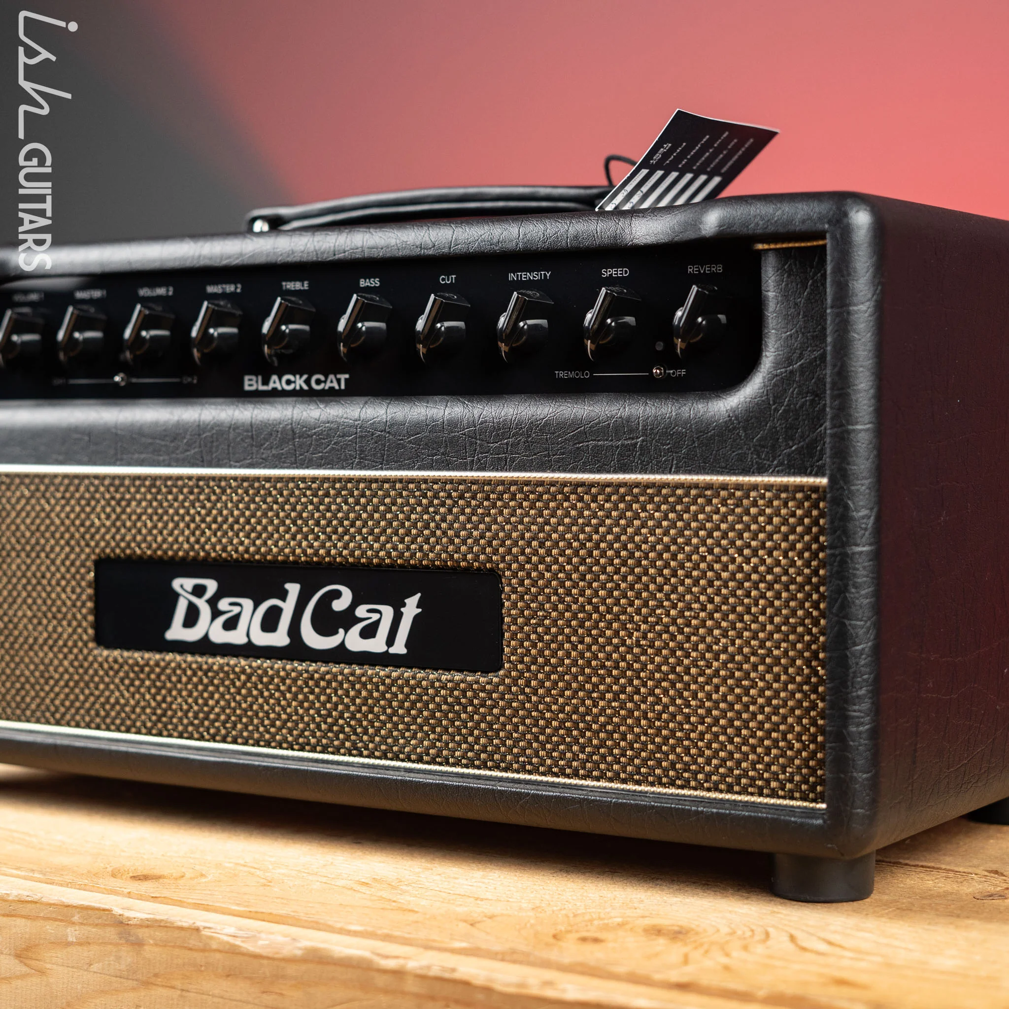 Bad Cat Black Cat 20W Guitar Amplifier Head Demo - Image 3