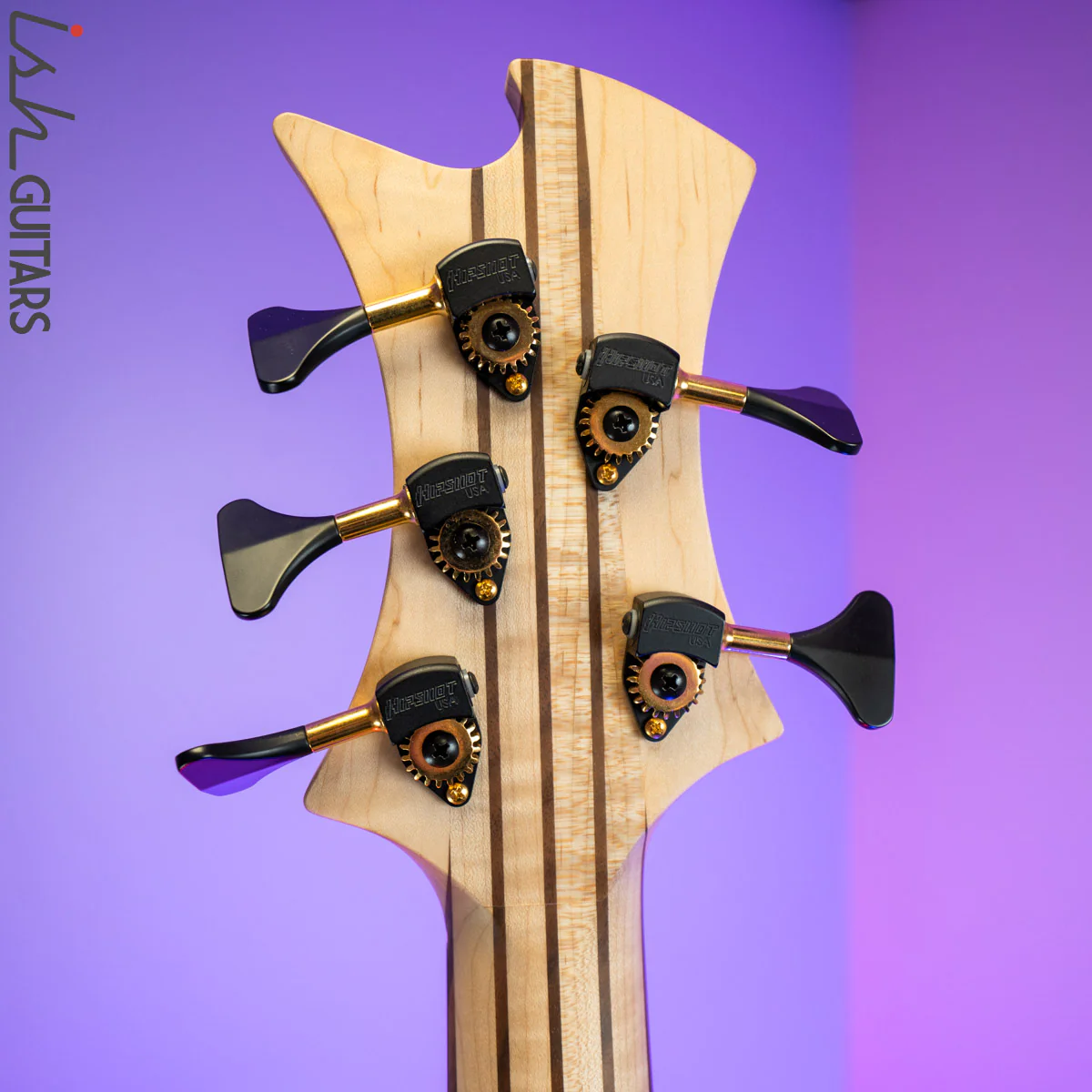 Divinity Oracle by Benavente Singlecut 5 String Bass Guitar - Image 14