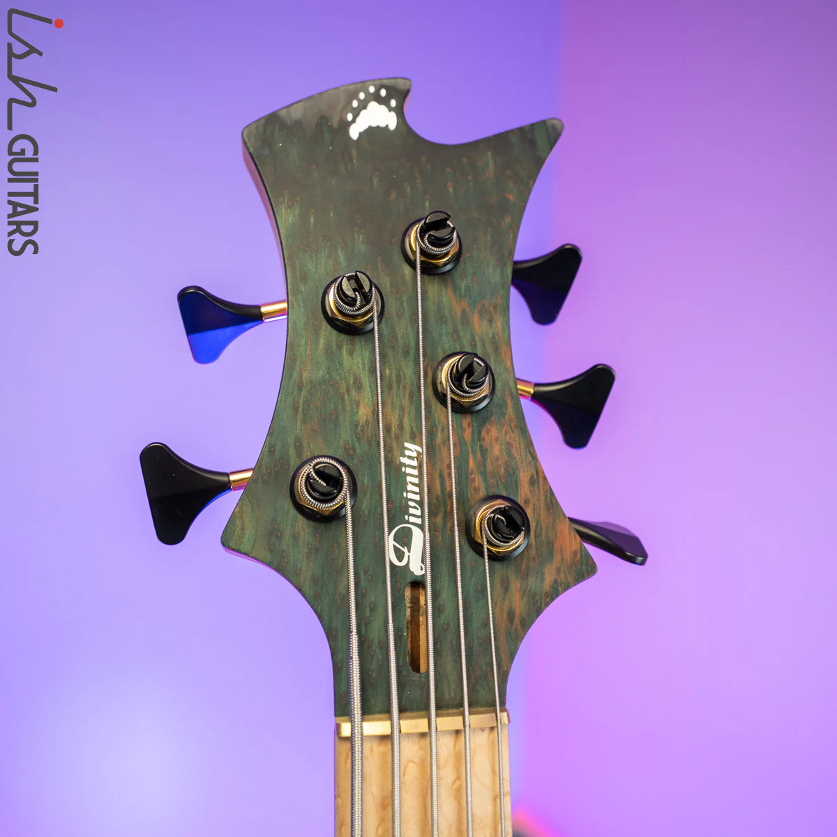 Divinity Oracle by Benavente Singlecut 5 String Bass Guitar - Image 9