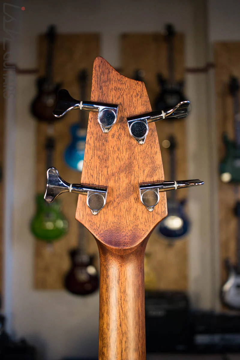 Breedlove Solo Acoustic Electric Bass Guitar - Image 9