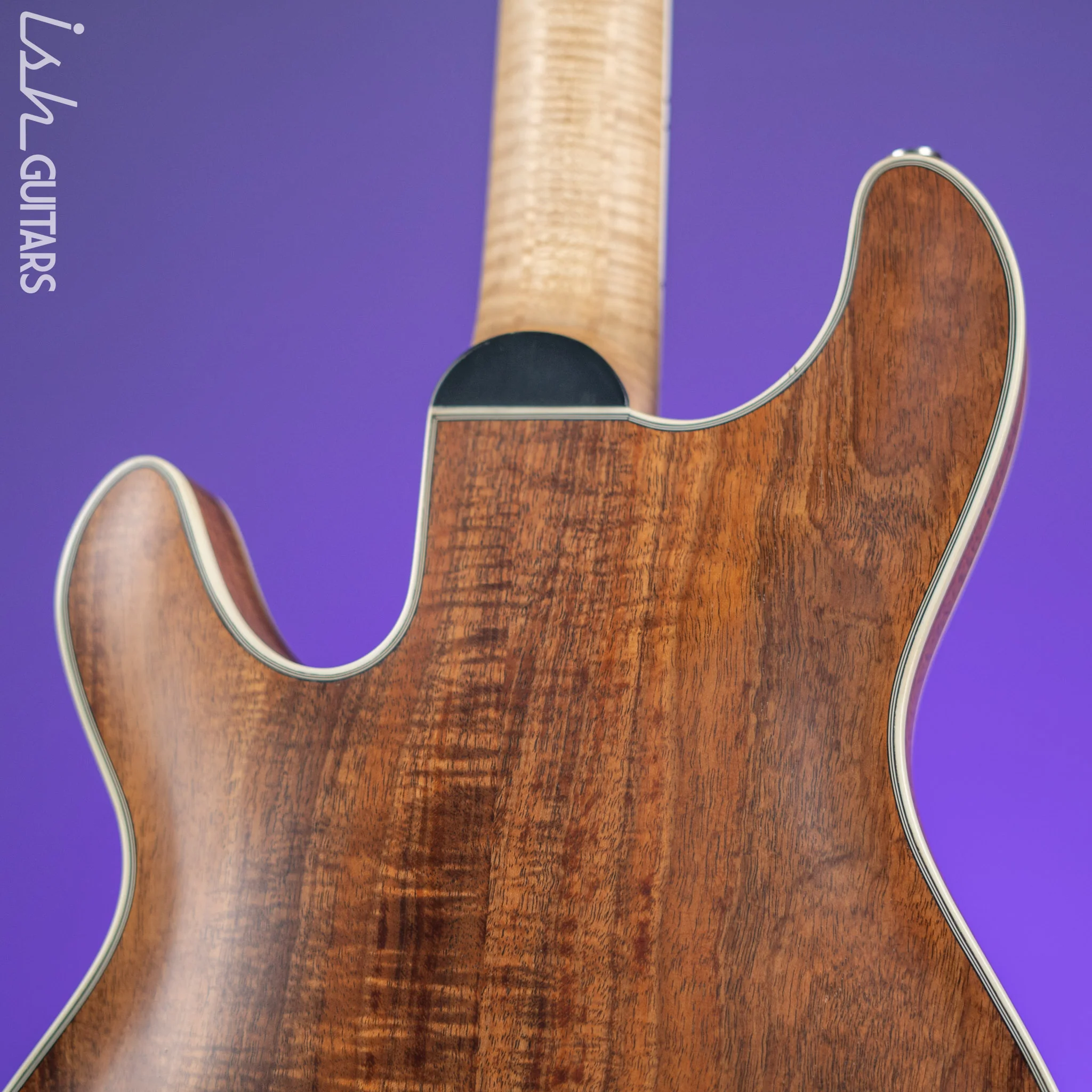 Bruton Universal Electric Archtop Guitar Natural - Image 12