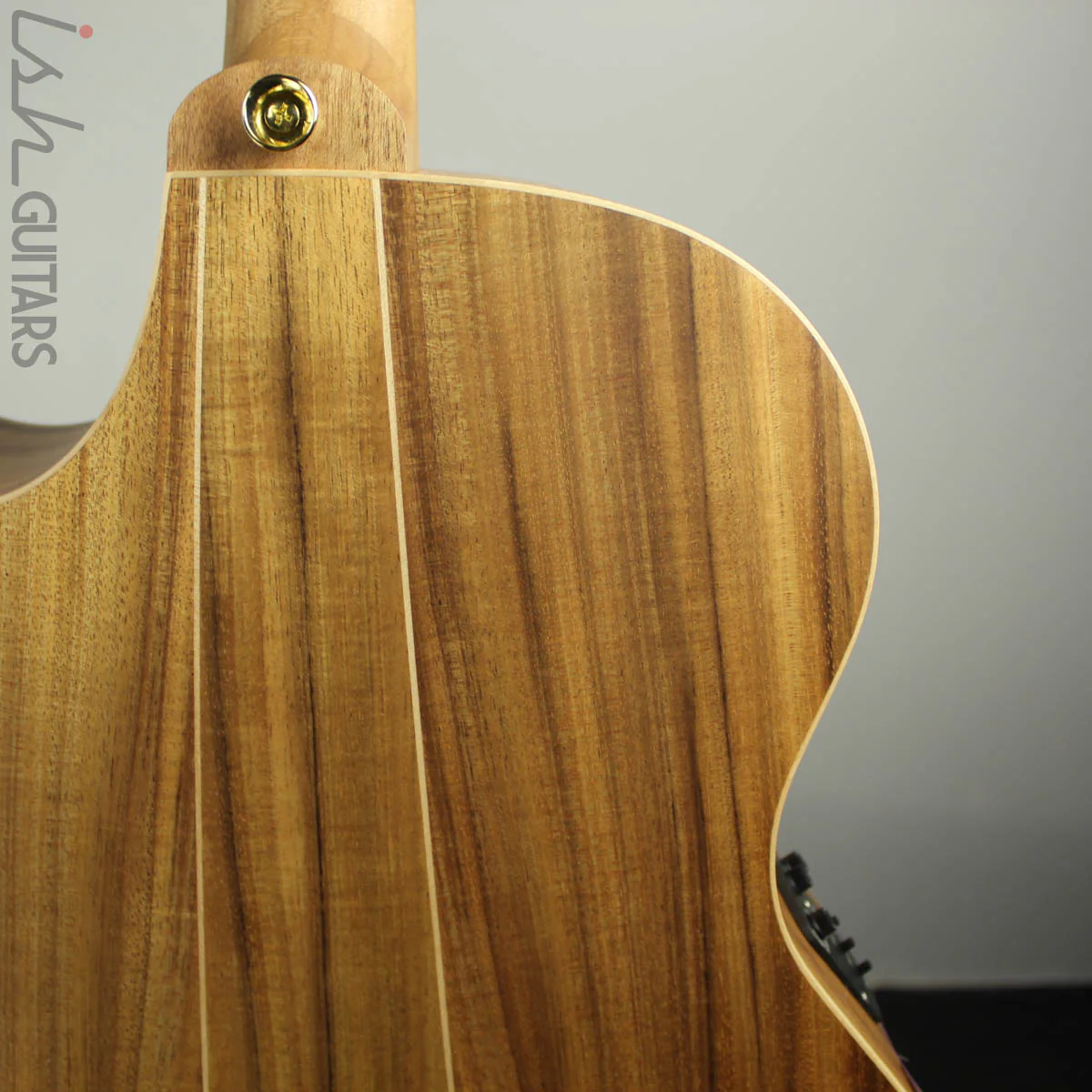 Cole Clark Angel AN2EC-RDBLSB Redwood Top w/ Blackwood Back and Sides - Image 11