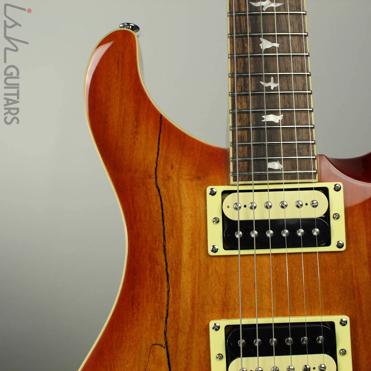 2018 Paul Reed Smith PRS SE Custom 24 - Spalted Maple - Image 3