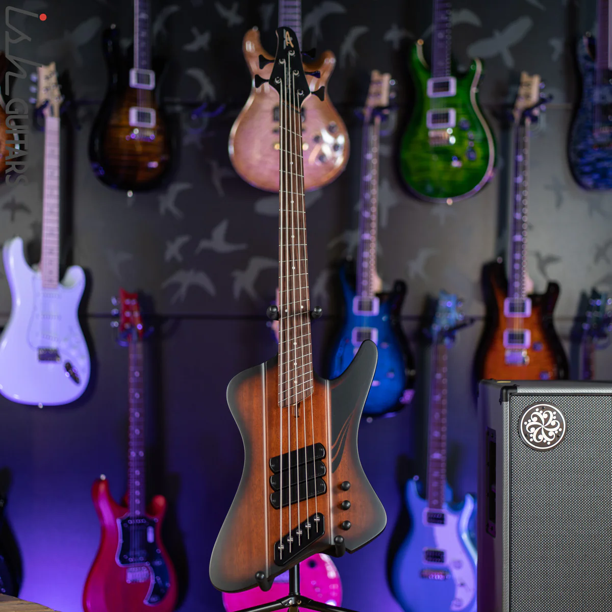 Dingwall D-Roc Standard 5-String Matte Vintage Burst - Image 2