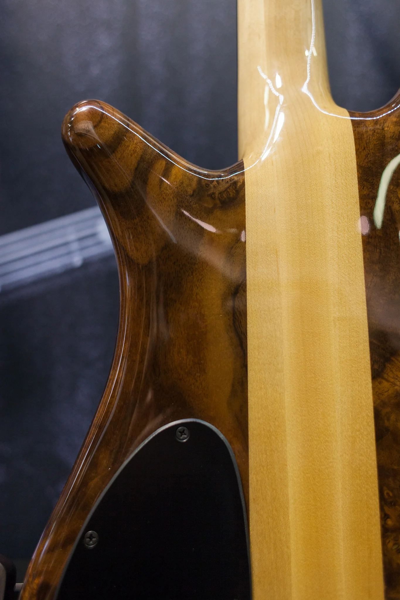 NAMM 2018 USA Spector NS-240 Limited Edition 40th Anniversary Bass #10/10 - Image 8