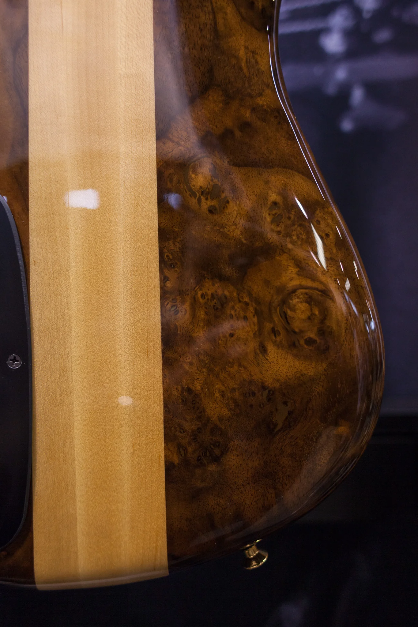 NAMM 2018 USA Spector NS-240 Limited Edition 40th Anniversary Bass #10/10 - Image 9