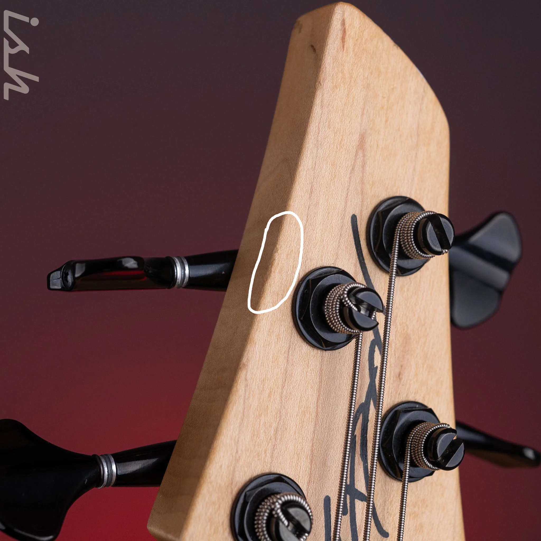 2003 Dingwall Z2 5-String Bass Spalted Maple w/ Bartolini Pickups - Image 12