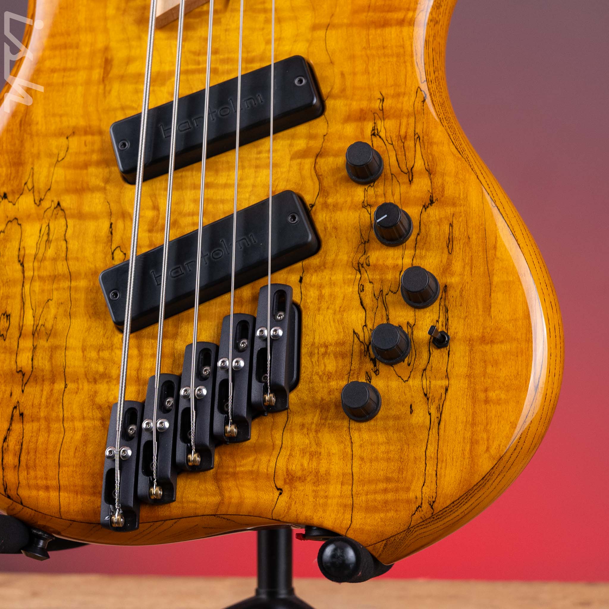 2003 Dingwall Z2 5-String Bass Spalted Maple w/ Bartolini Pickups - Image 5