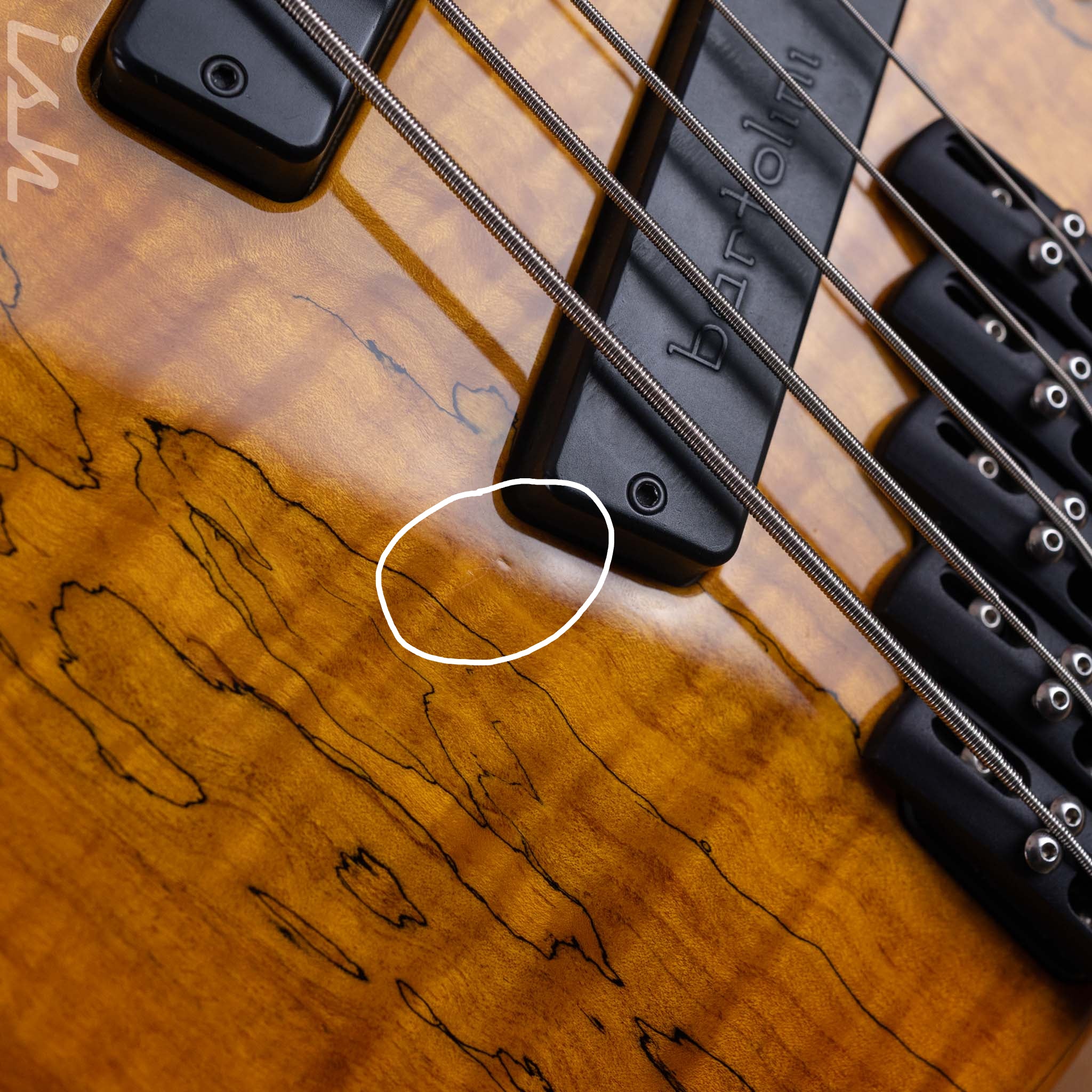 2003 Dingwall Z2 5-String Bass Spalted Maple w/ Bartolini Pickups - Image 7