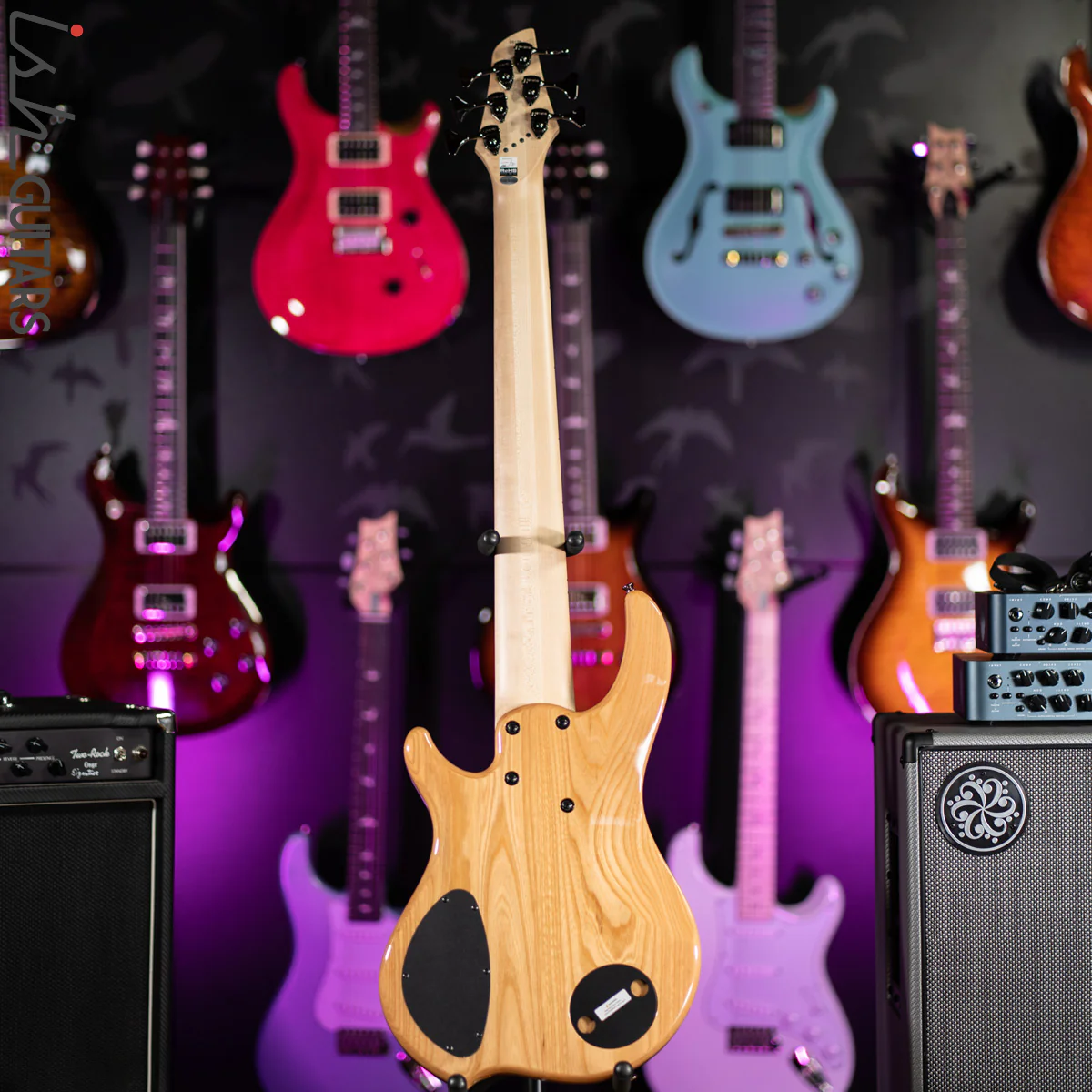 Dingwall Combustion 3 PUP 6-String Natural - Image 8