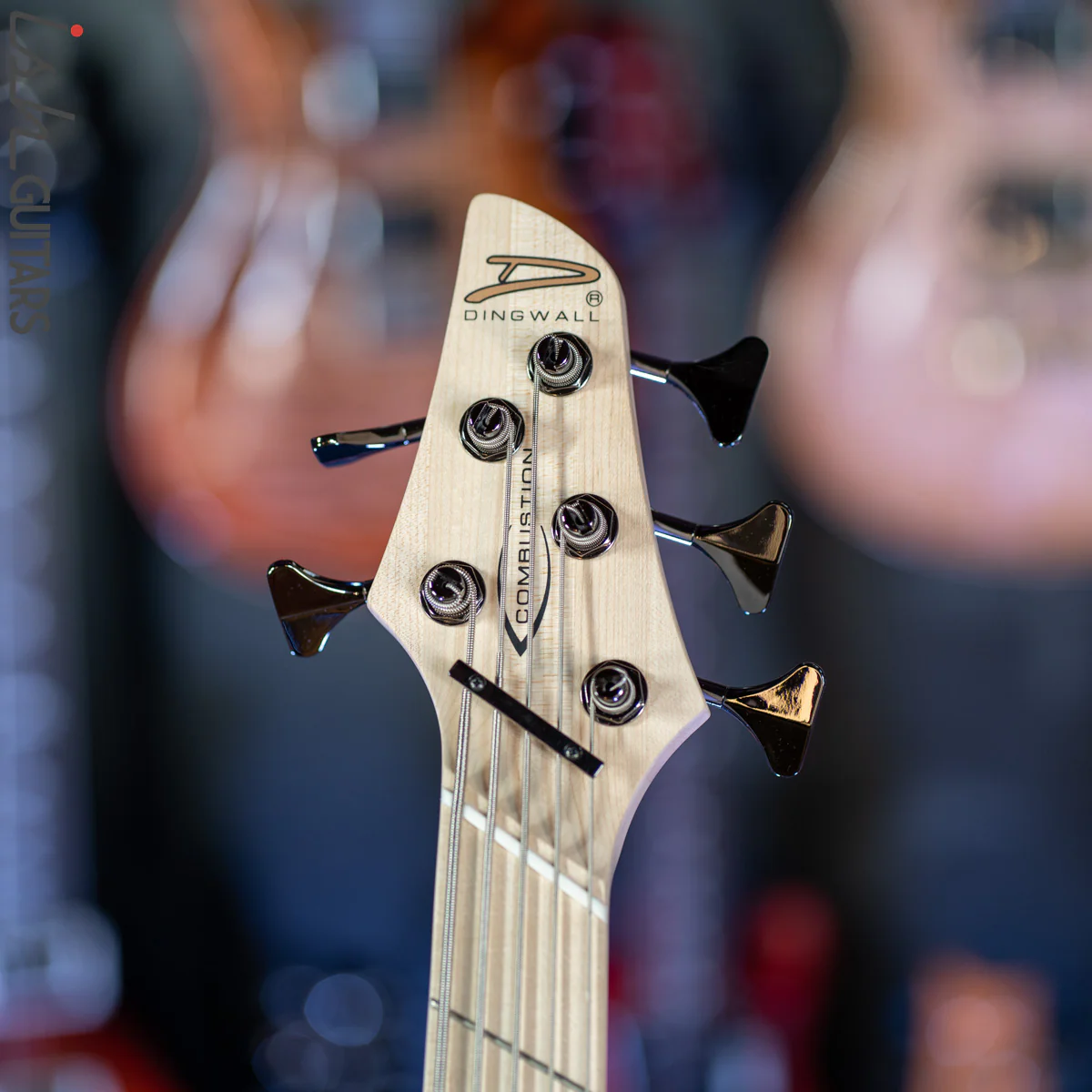 Dingwall Combustion 5-String Bass 2-Tone Blackburst - Image 6