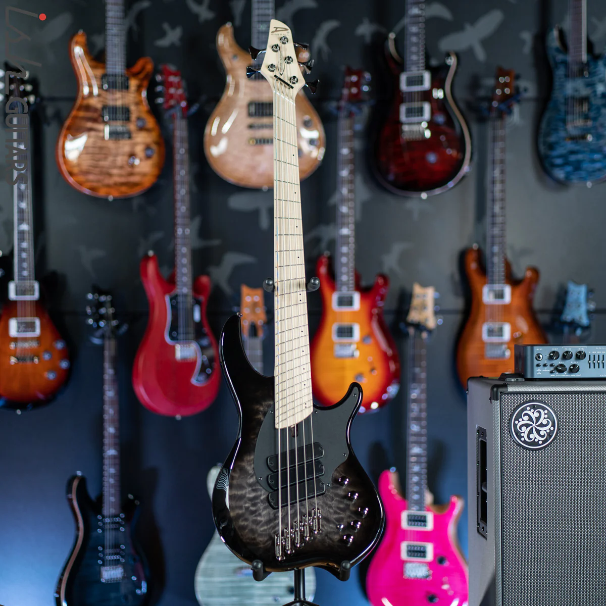 Dingwall Combustion 5 String Bass 2-Tone Blackburst - Image 2