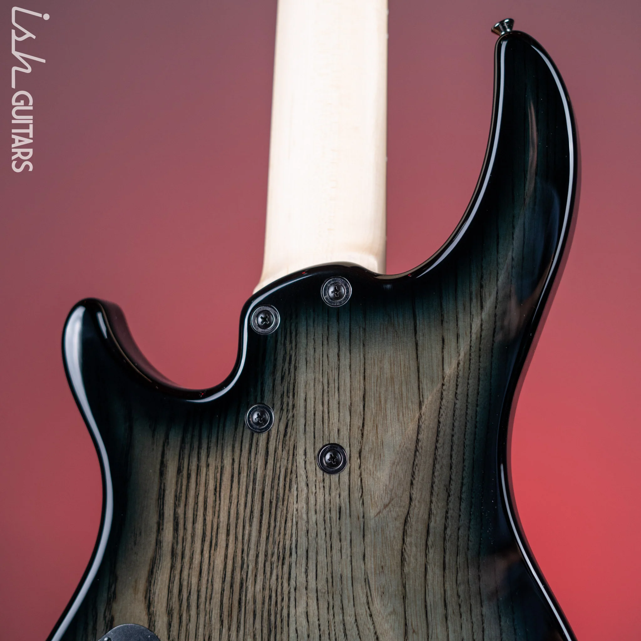 Dingwall Combustion 5-String Bass 2-Tone Blackburst Gloss Pau Ferro Fretboard - Image 8
