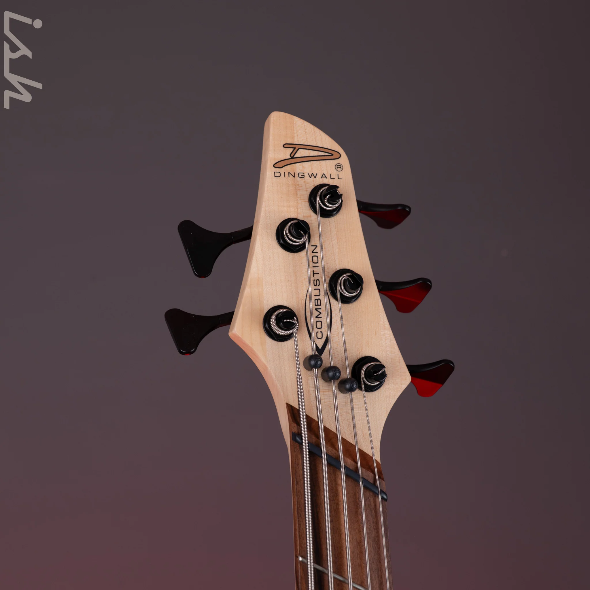 Dingwall Combustion 5-String Bass 2-Tone Blackburst Pau Ferro Fretboard - Image 6