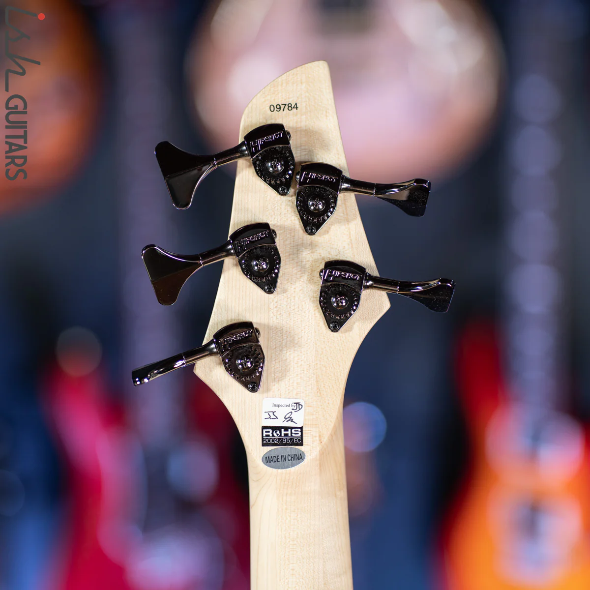 Dingwall Combustion 5-String Whalepoolburst - Image 11