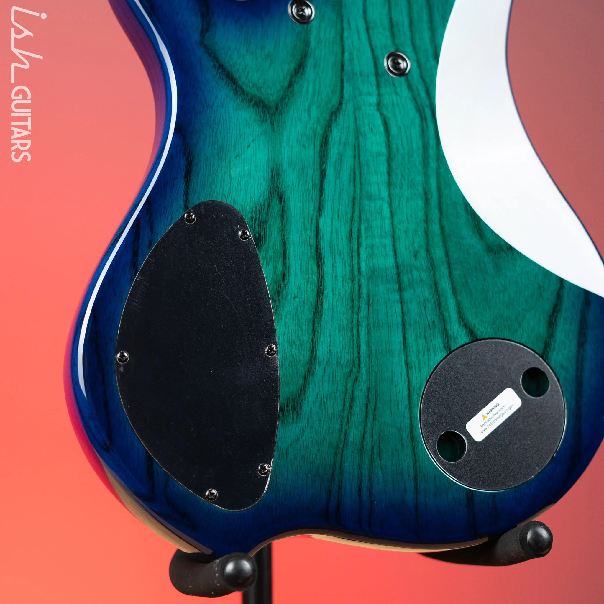 Dingwall Combustion 6-String Bass Whalepoolburst - Image 9
