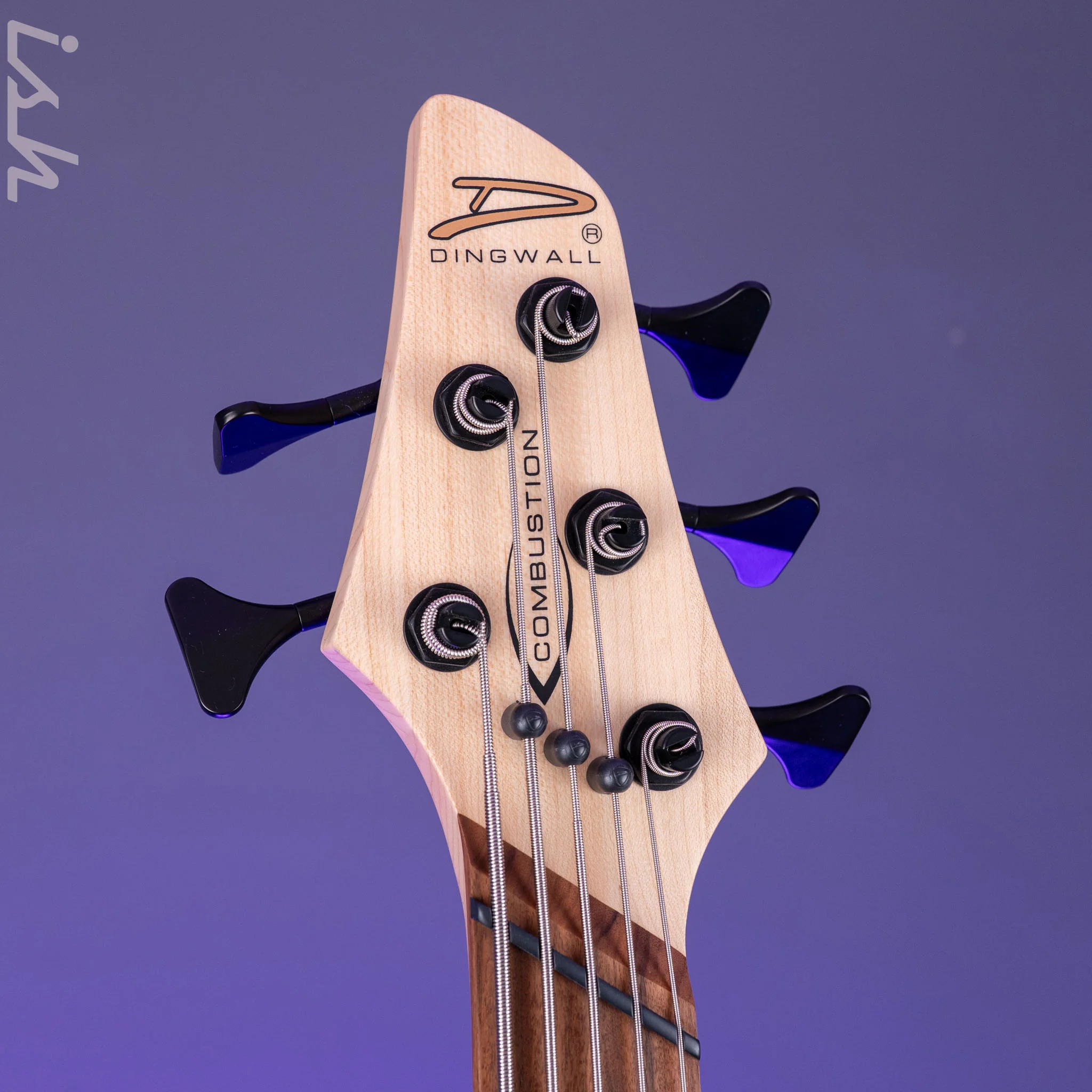 Dingwall Combustion 5-String Bass Whalepoolburst Pau Ferro Fretboard - Image 6