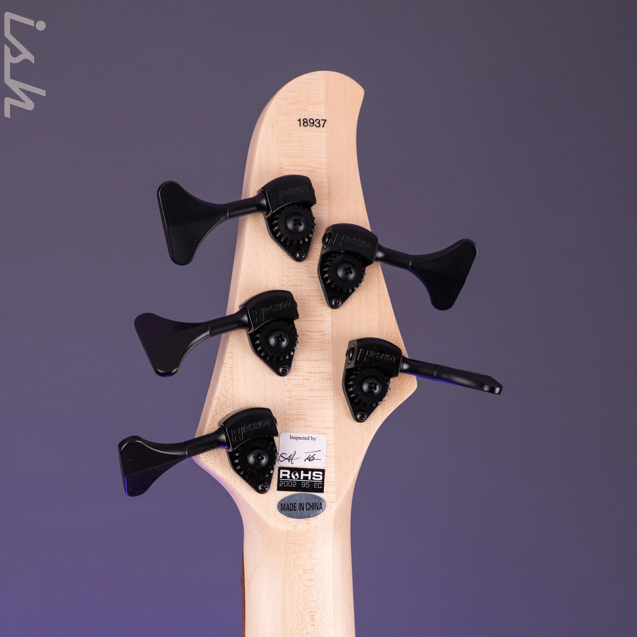 Dingwall D-Roc Standard 5-String Bass Ducati Pearl White - Image 11