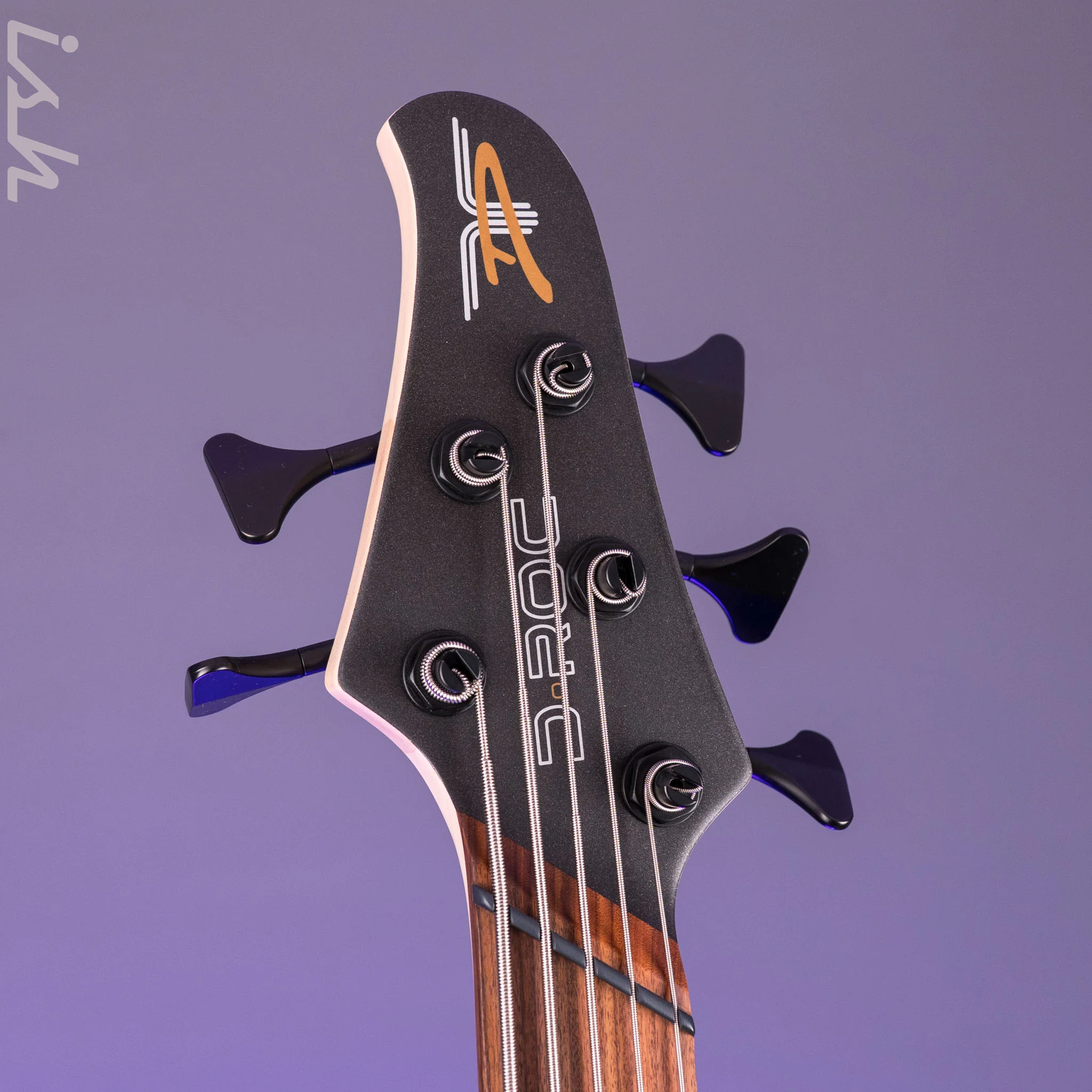 Dingwall D-Roc Standard 5-String Bass Ducati Pearl White - Image 6