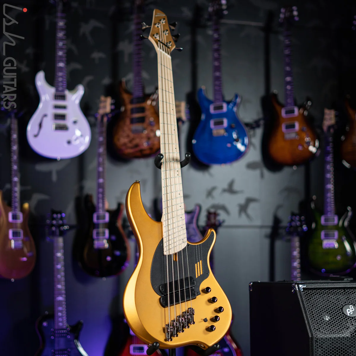 Dingwall NG-2 5-String Bass Metallic Matte Gold B-Stock - Image 2