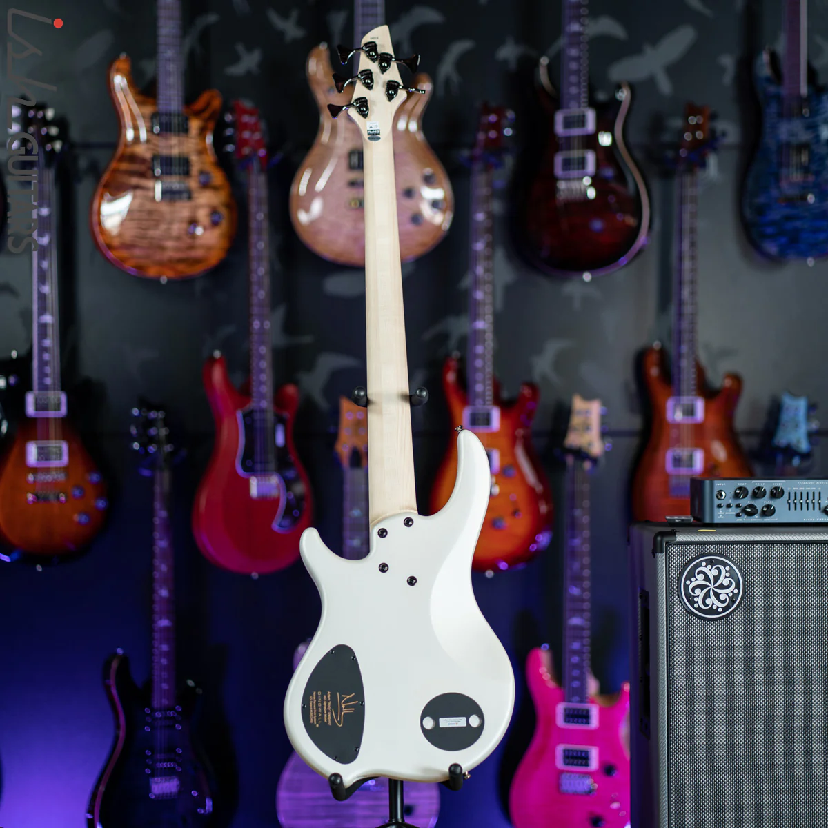 Dingwall NG-3 5-String Bass Ducati White - Image 7