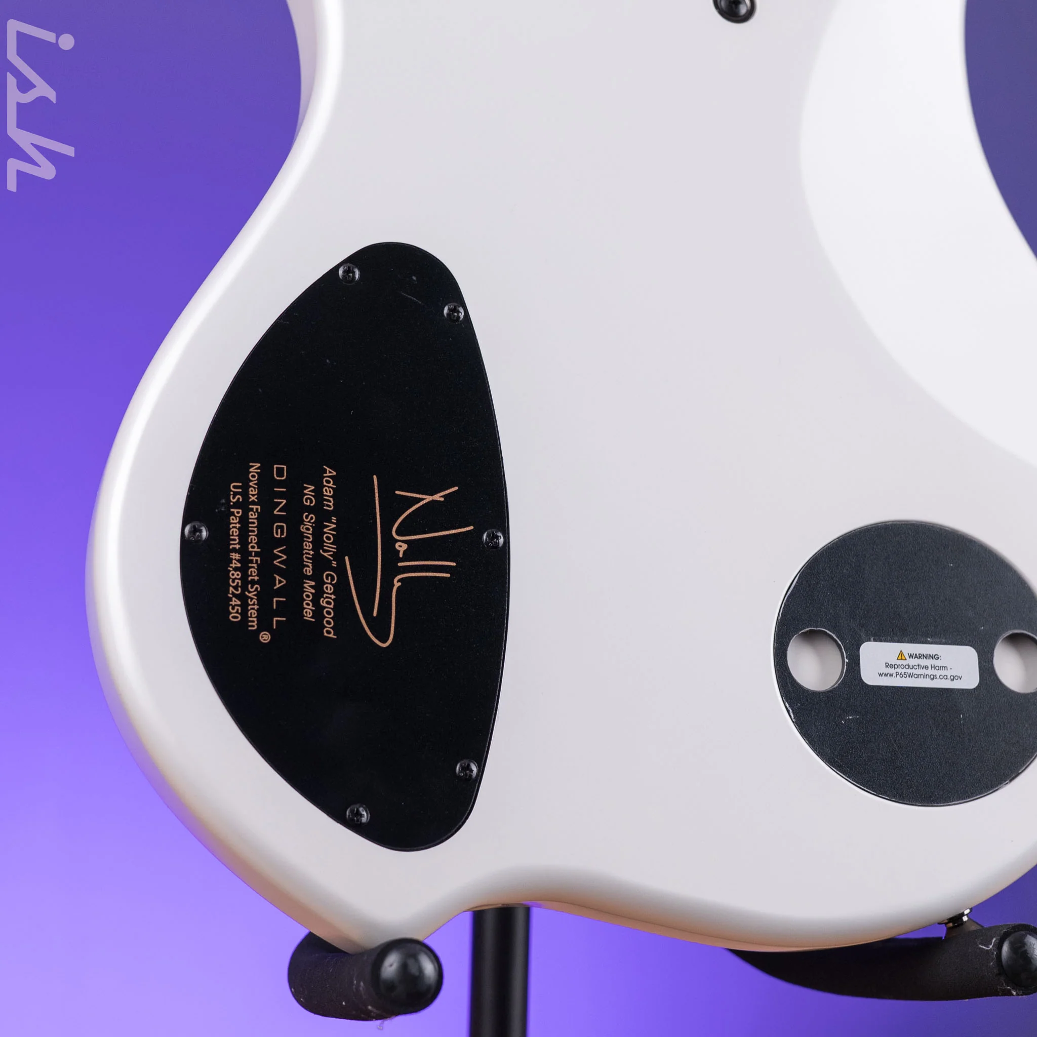 Dingwall NG-3 5-String Bass Matte Ducati Pearl White - Image 9