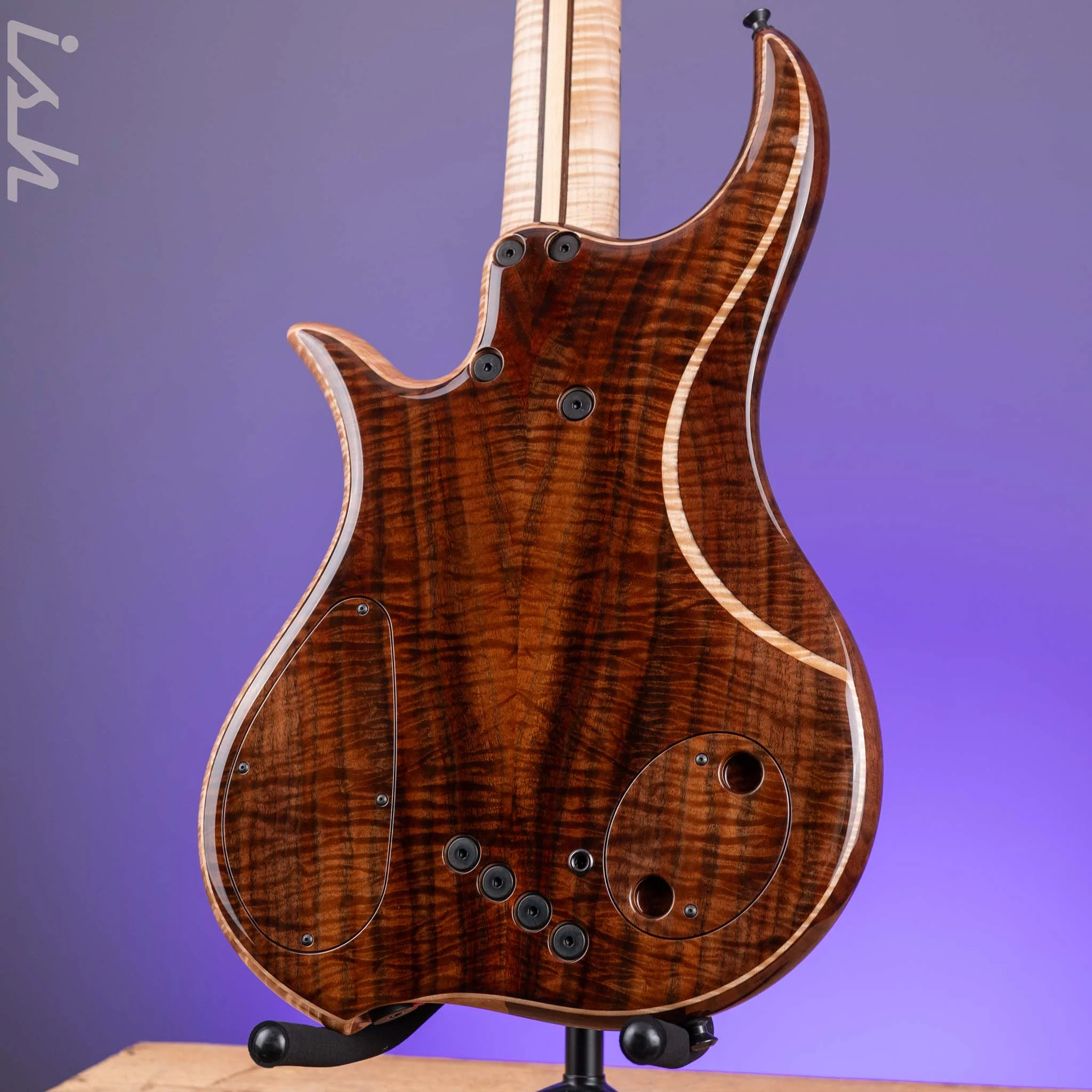 Dingwall Prima Artist Custom Shop 5-String Bass - Image 10