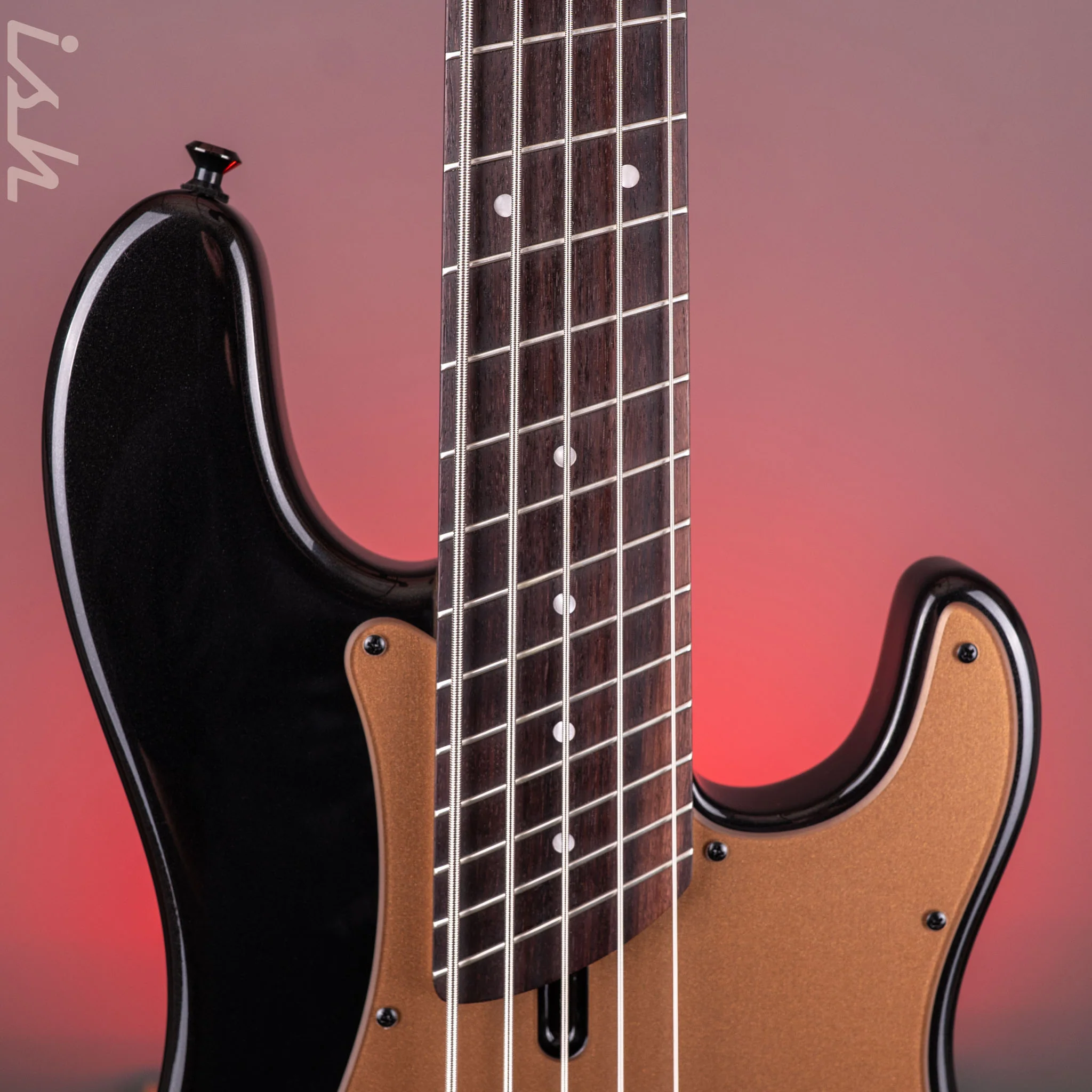 Dingwall SP1 5-String Bass Gloss Metallic Black - Image 6