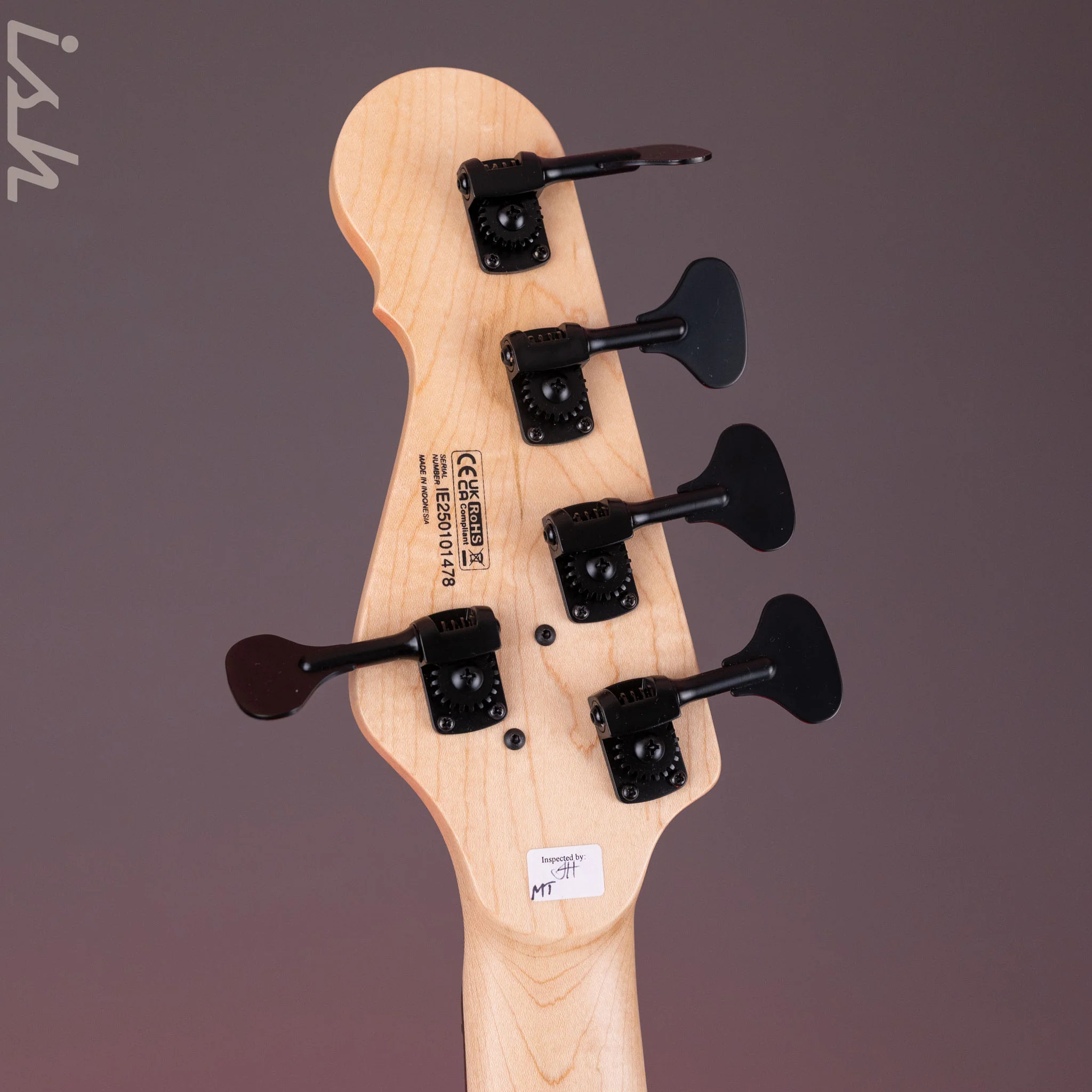 Dingwall SP1 5-String Bass Matte Ducati Pearl White - Image 11
