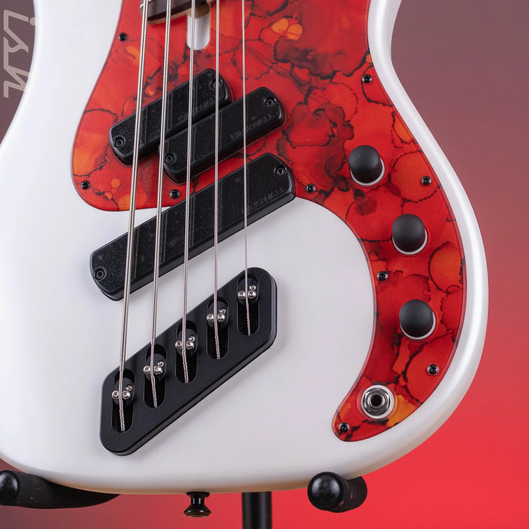Dingwall SP1 5-String Bass Matte Ducati Pearl White - Image 5