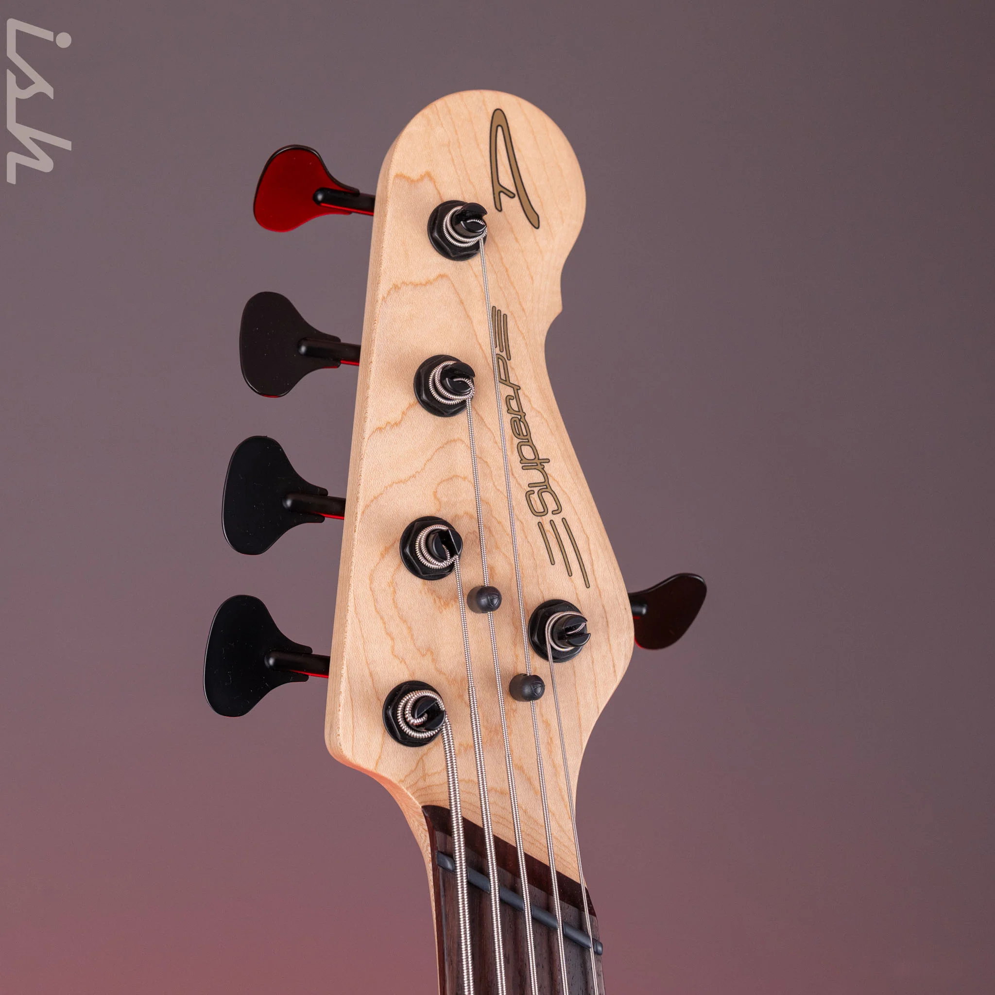 Dingwall SP1 5-String Bass Matte Ducati Pearl White - Image 6