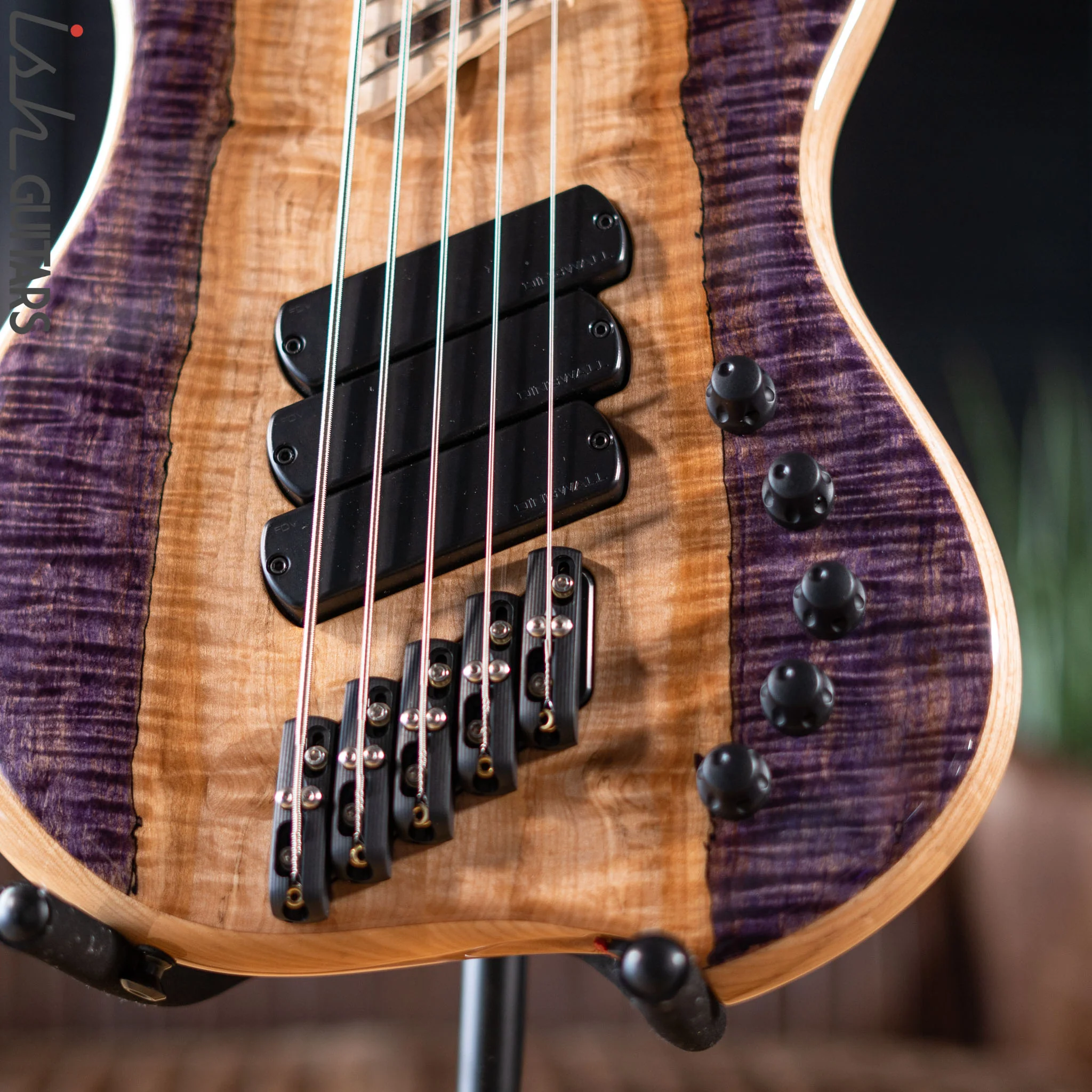 Dingwall Z3 5-String Bass Spalted Maple Purple Canyon Gloss Finish - Image 4