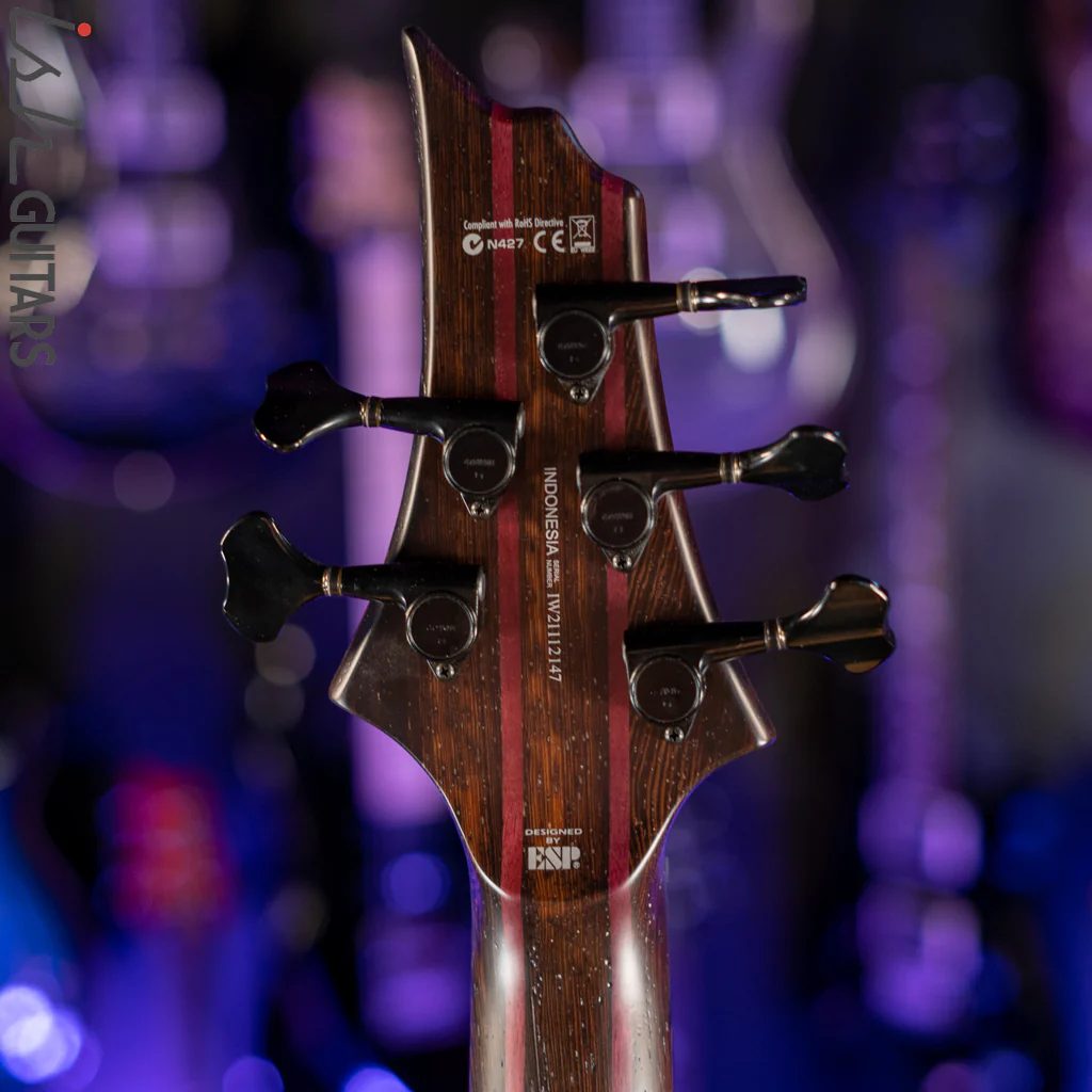 ESP LTD B-1005 5-String Bass Bocote Top Natural Satin Demo - Image 10