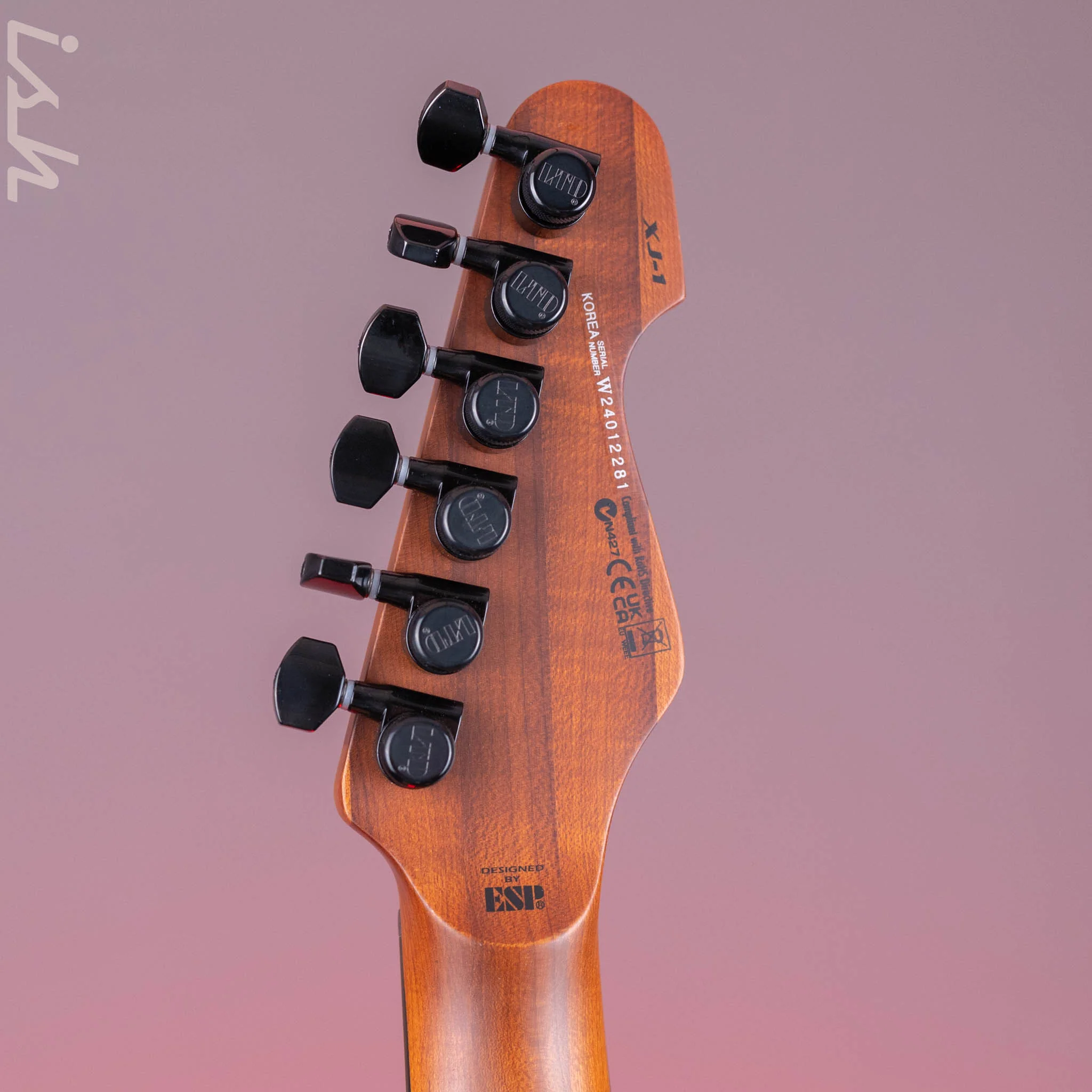 ESP LTD XJ-1 Hardtail Black Blast - Image 10