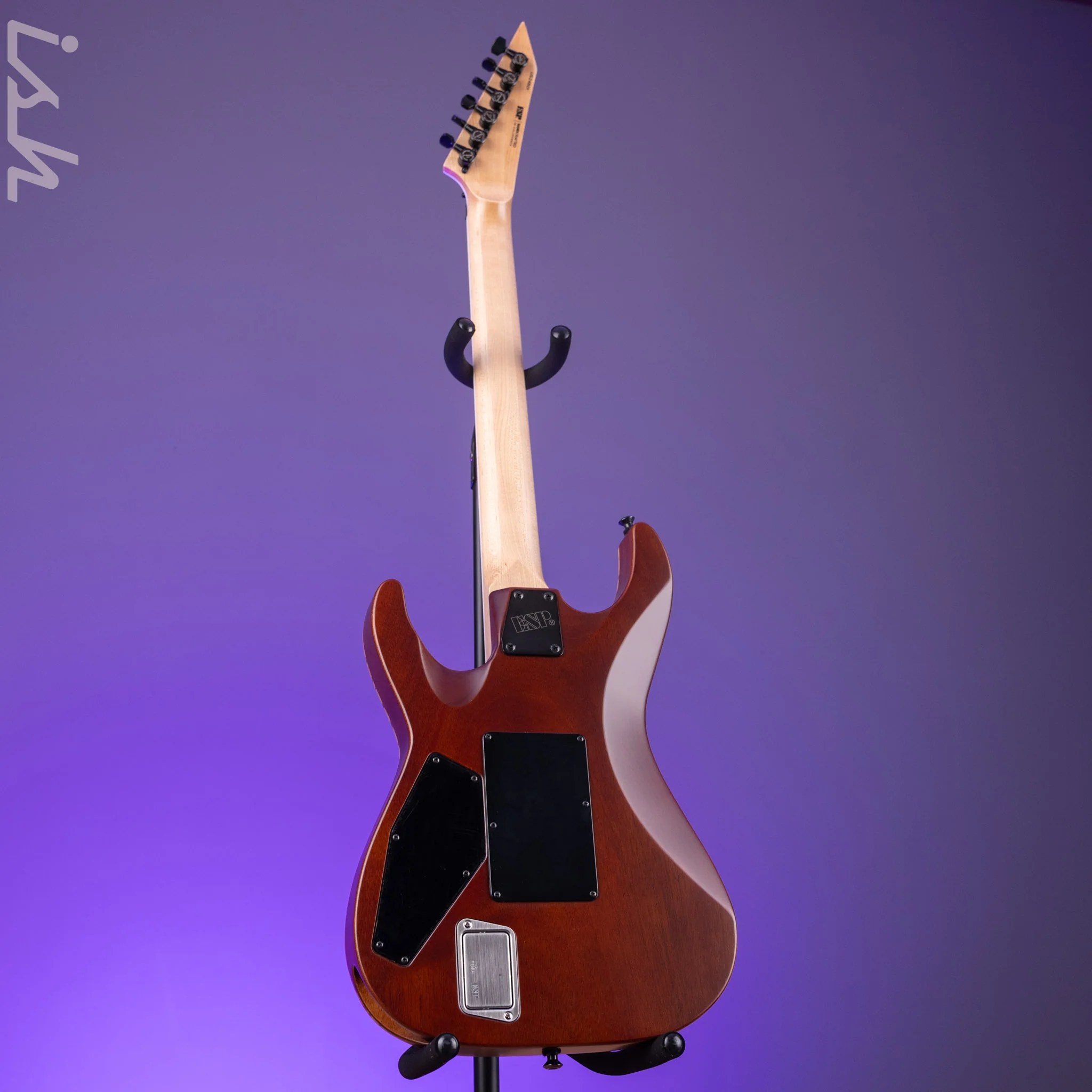 ESP USA M-I DX FR Satin Natural Zebrawood - Image 7