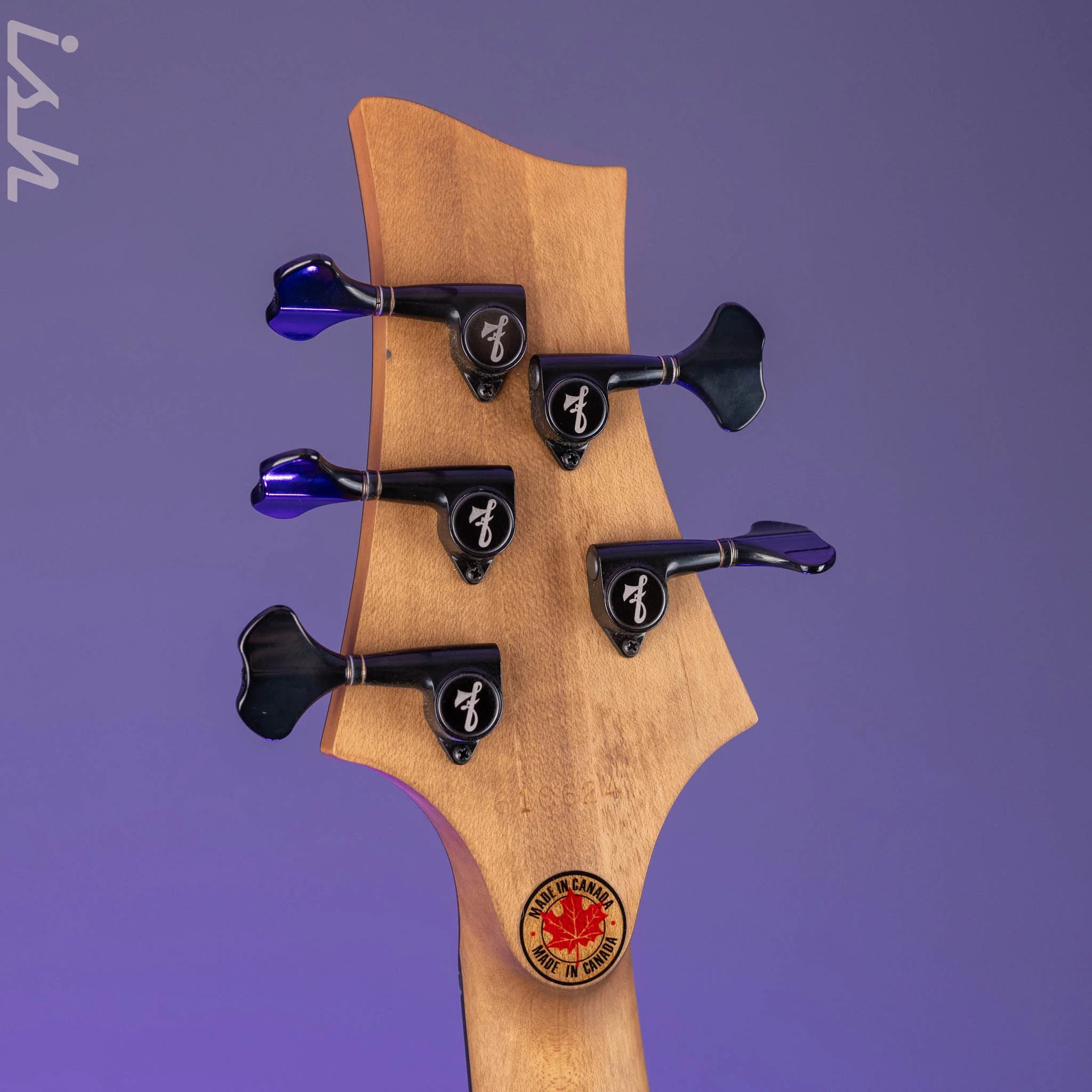 F Bass AC5-Classic Fretless Amara Ebony Top - Image 10