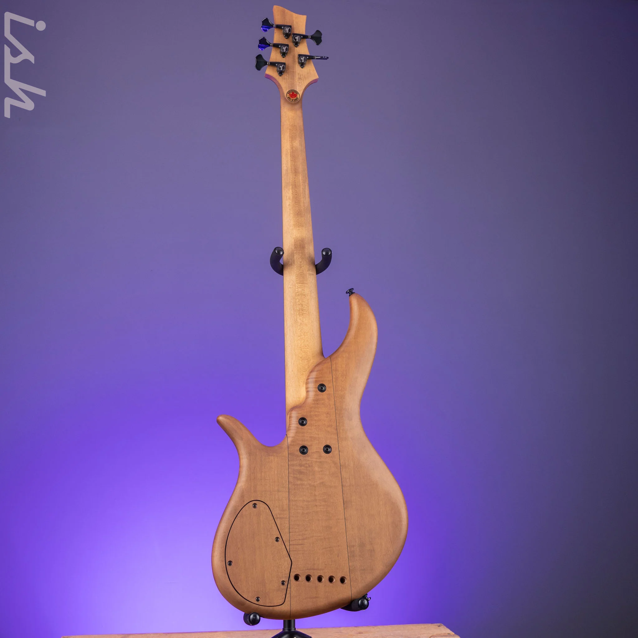 F Bass AC5-Classic Fretless Amara Ebony Top - Image 6