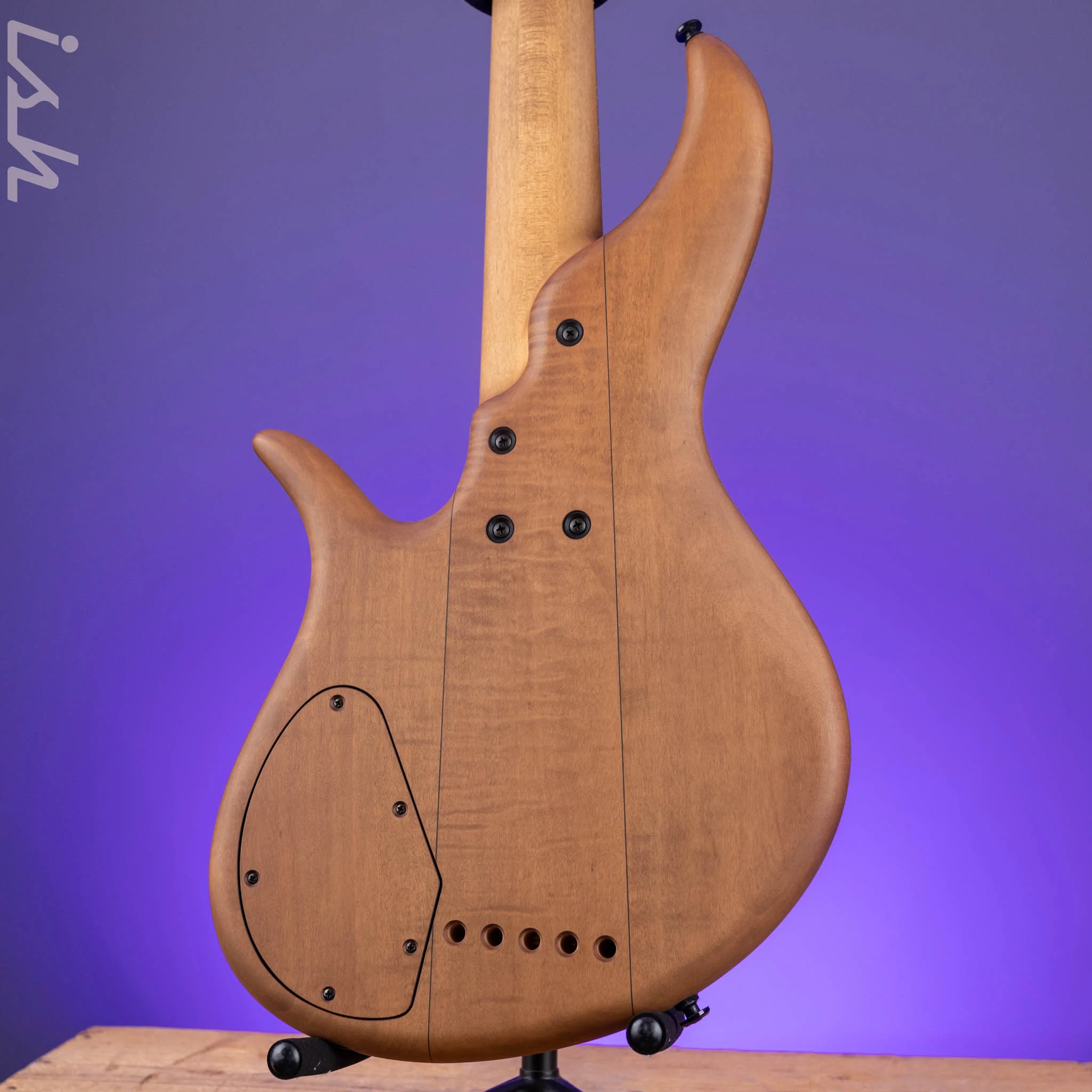 F Bass AC5-Classic Fretless Amara Ebony Top - Image 7