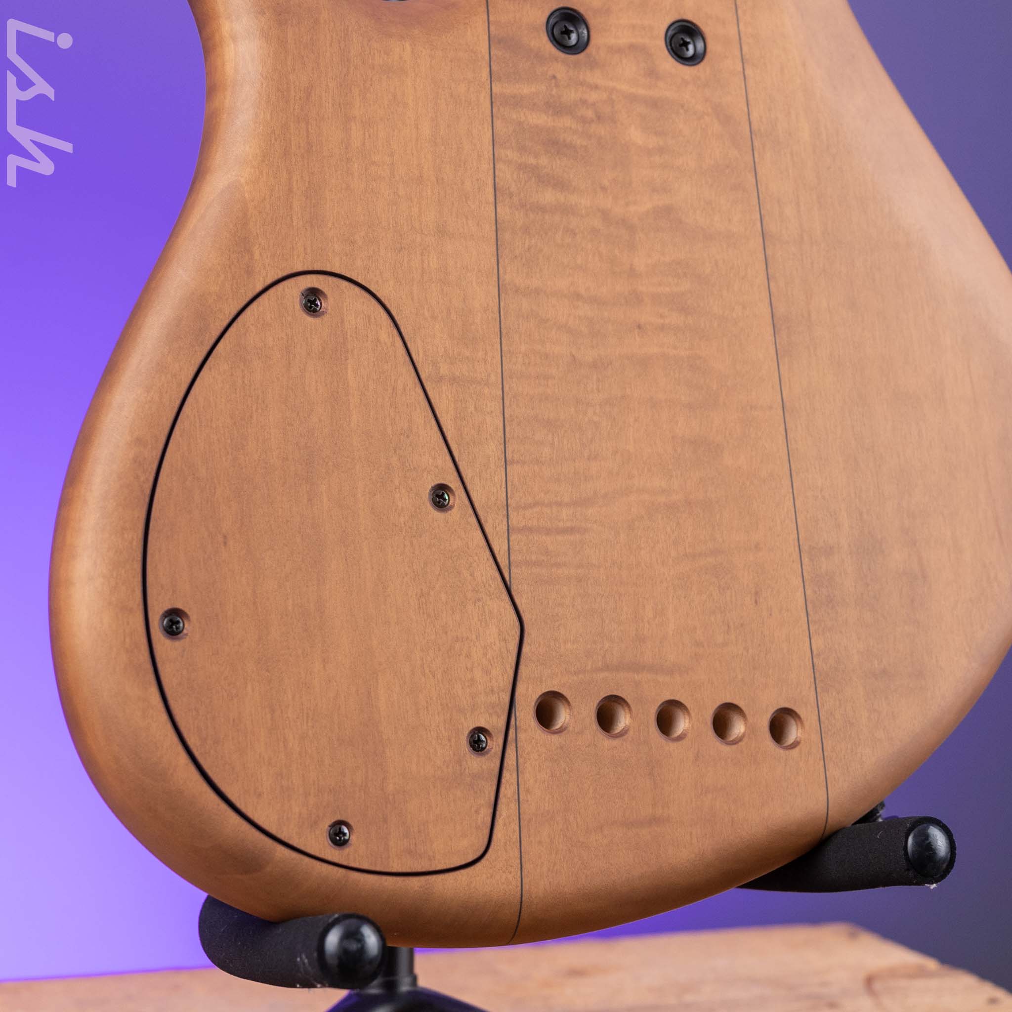 F Bass AC5-Classic Fretless Amara Ebony Top - Image 9