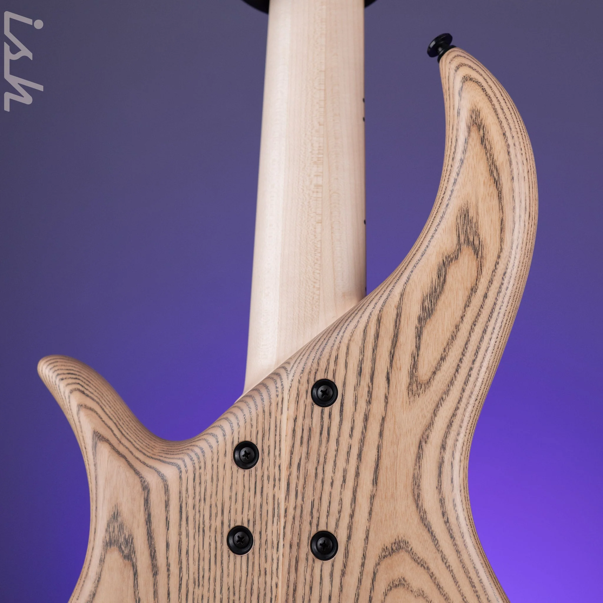 F Bass BN5 5-String Bass Pale Moon Ebony - Image 10