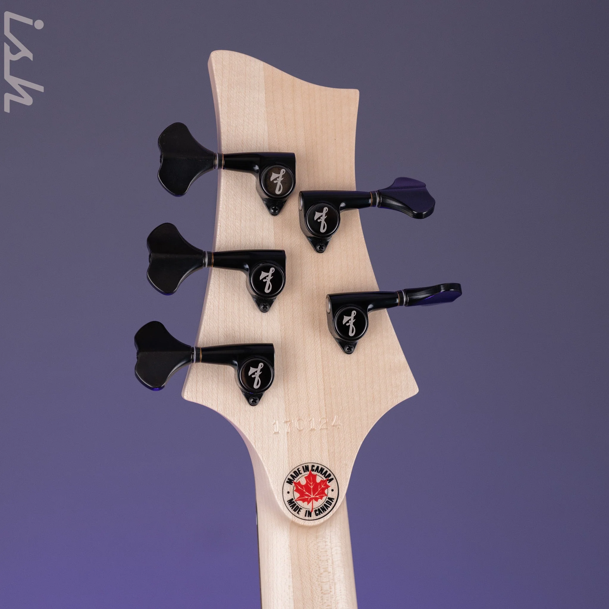 F Bass BN5 5-String Bass Pale Moon Ebony - Image 11