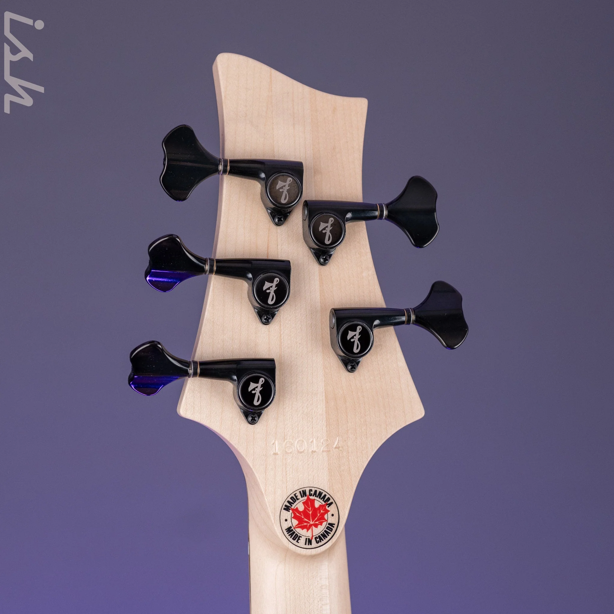 F Bass BN5 5-String Bass Pale Moon Ebony - Image 11